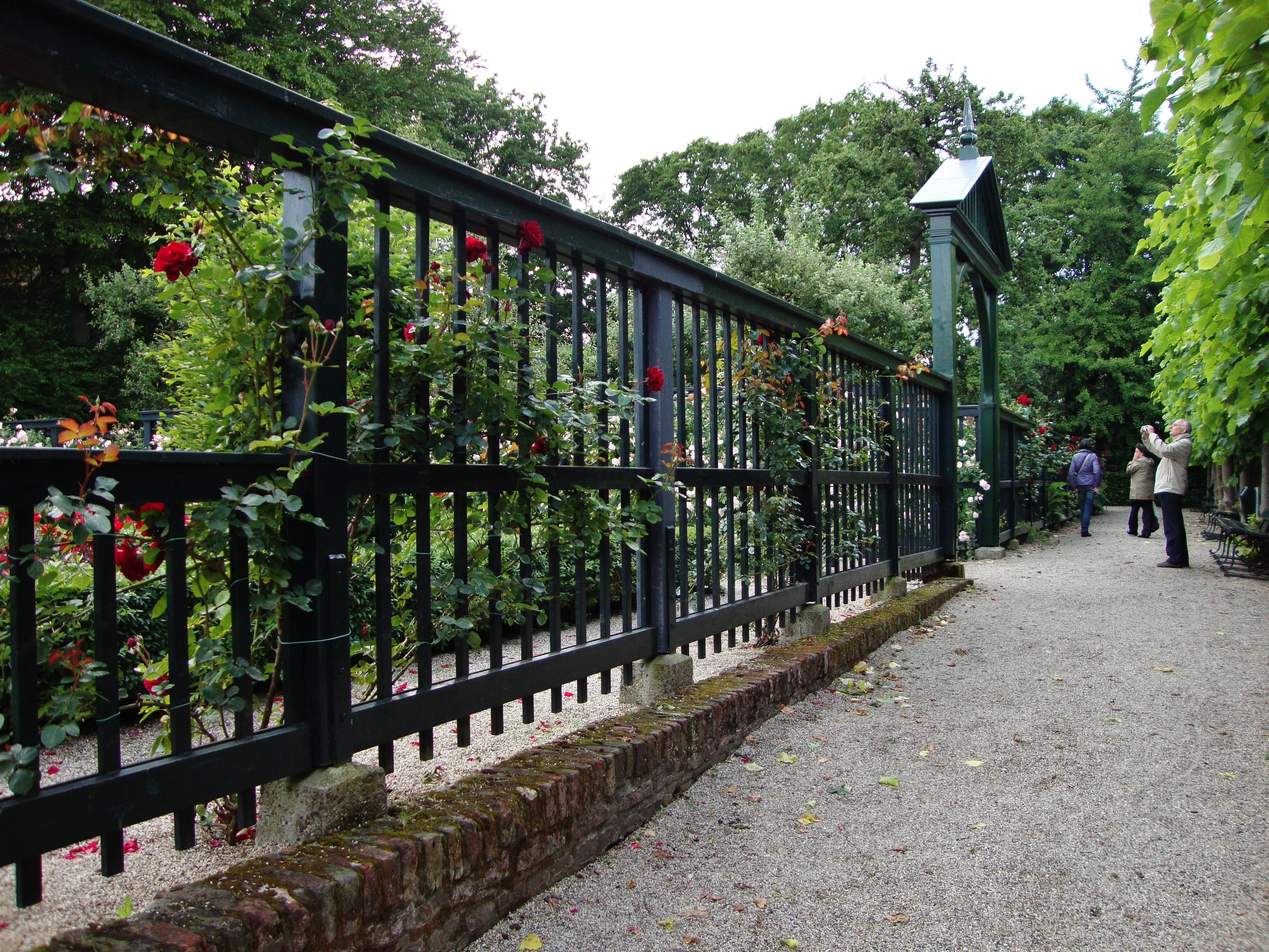 Aire libre en Groningen: descubre sus rincones naturales y actividades al aire libre