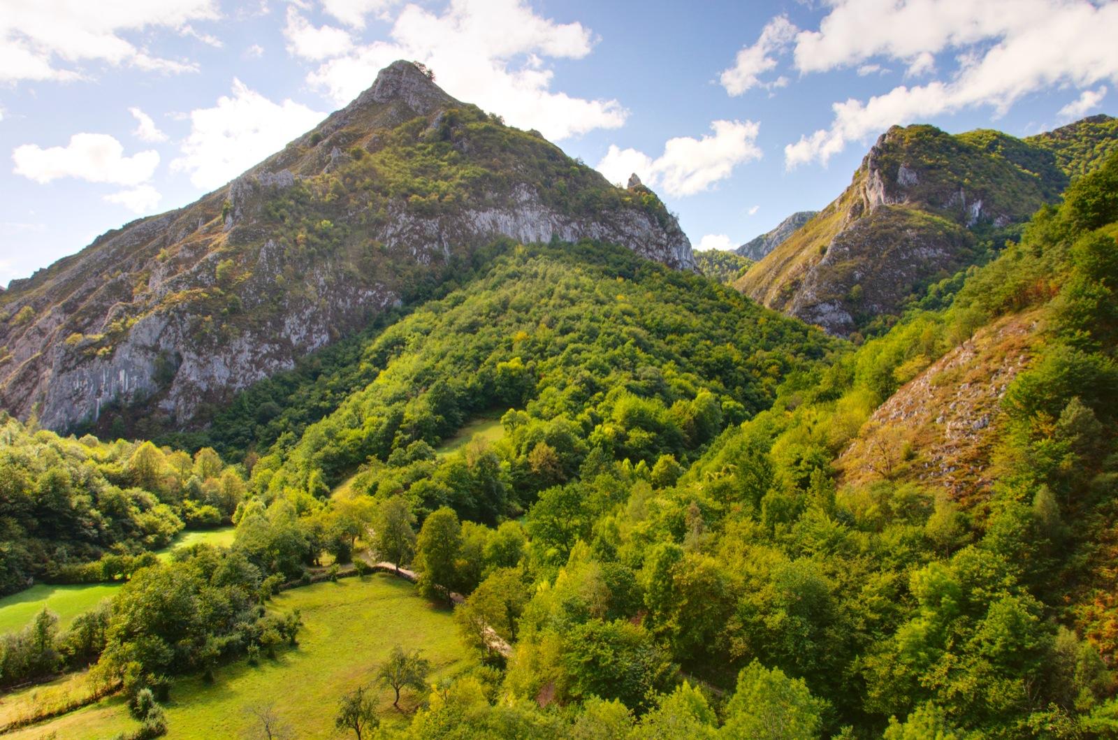 Senda Verde, por Ignacio Izquierdo