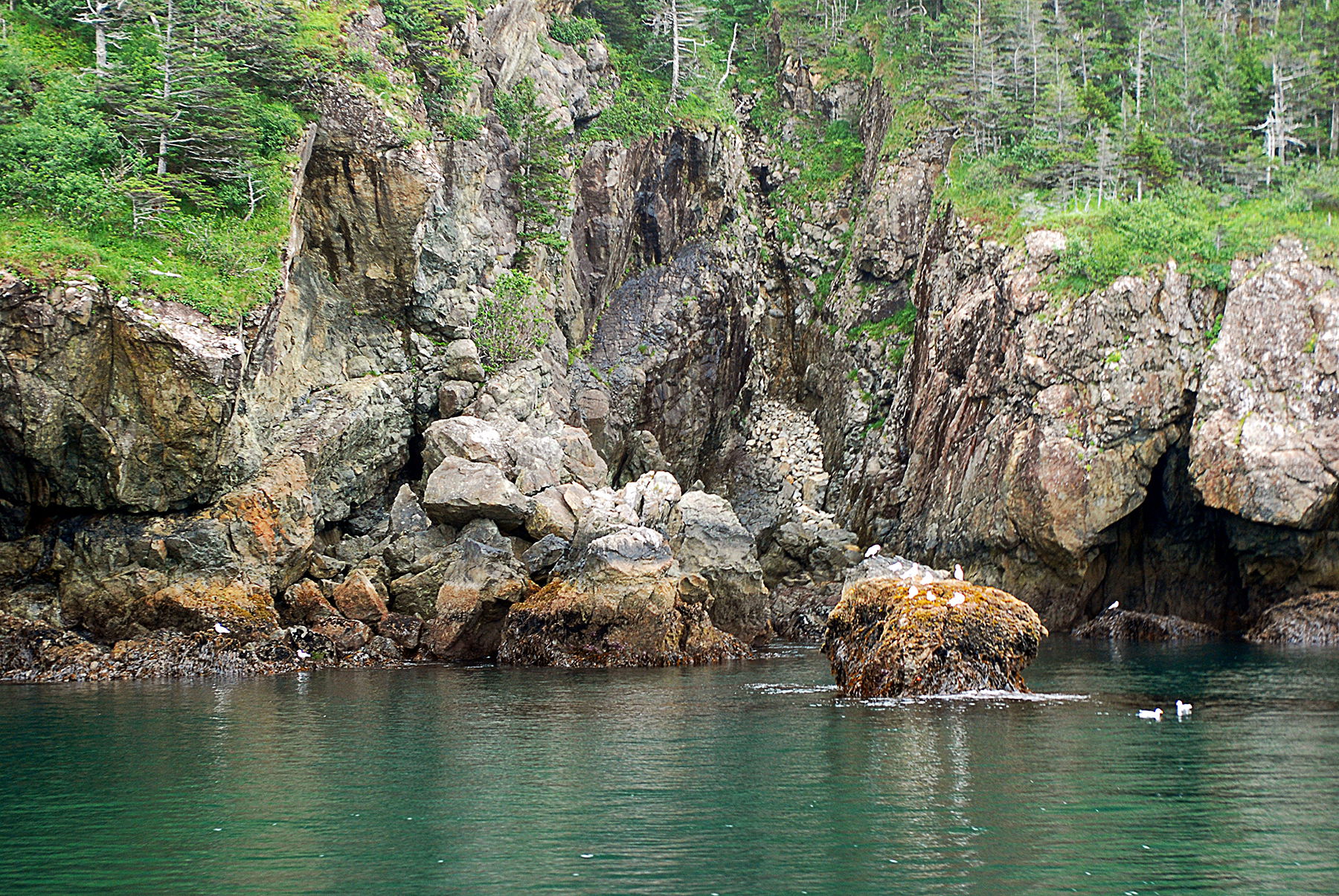 Resurrection Bay, por Grace Anderson