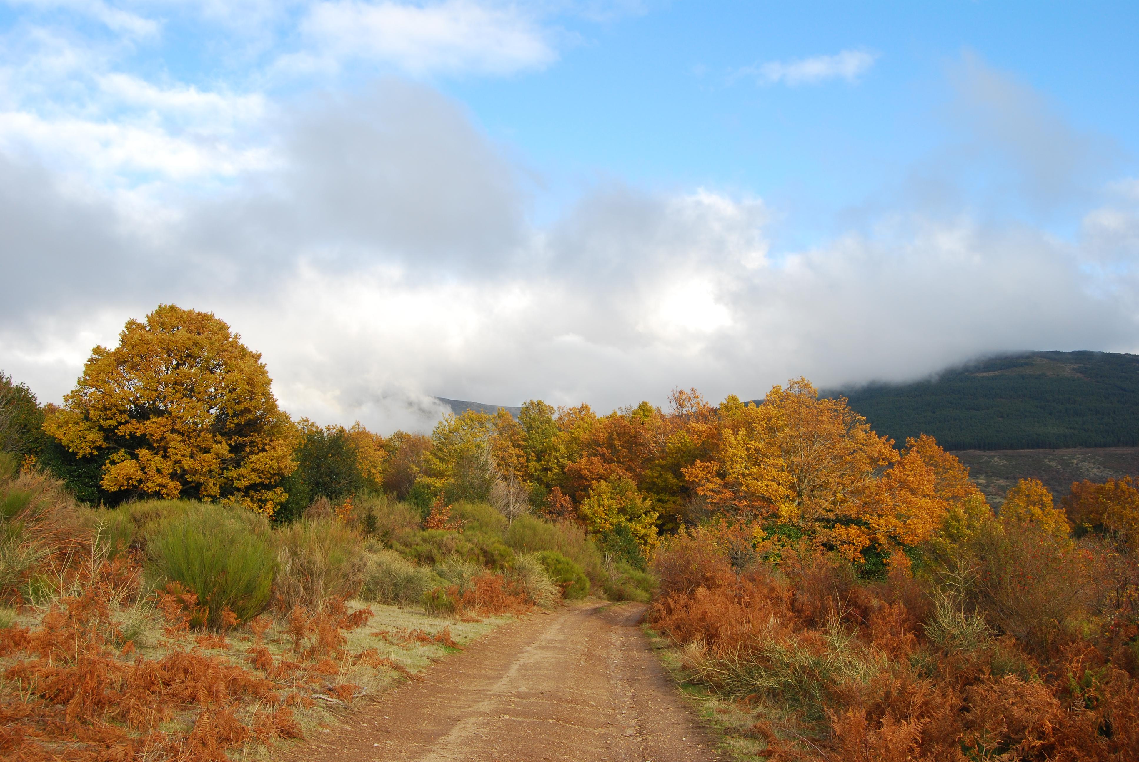 La Sierra Norte de Madrid, por Gregorio Uceda Esgueva