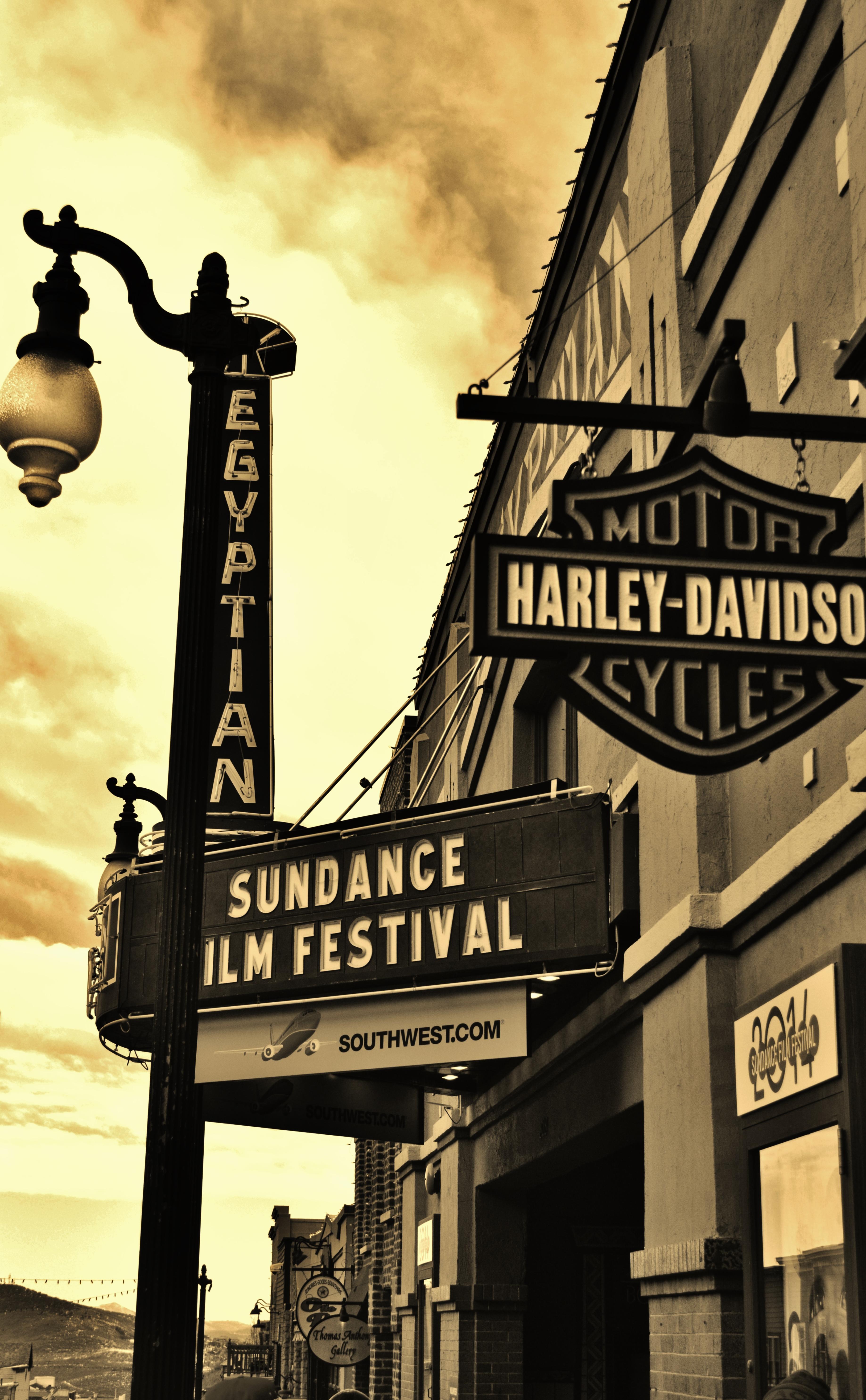 Sundance Film Festival, por Holly Anne Jackson