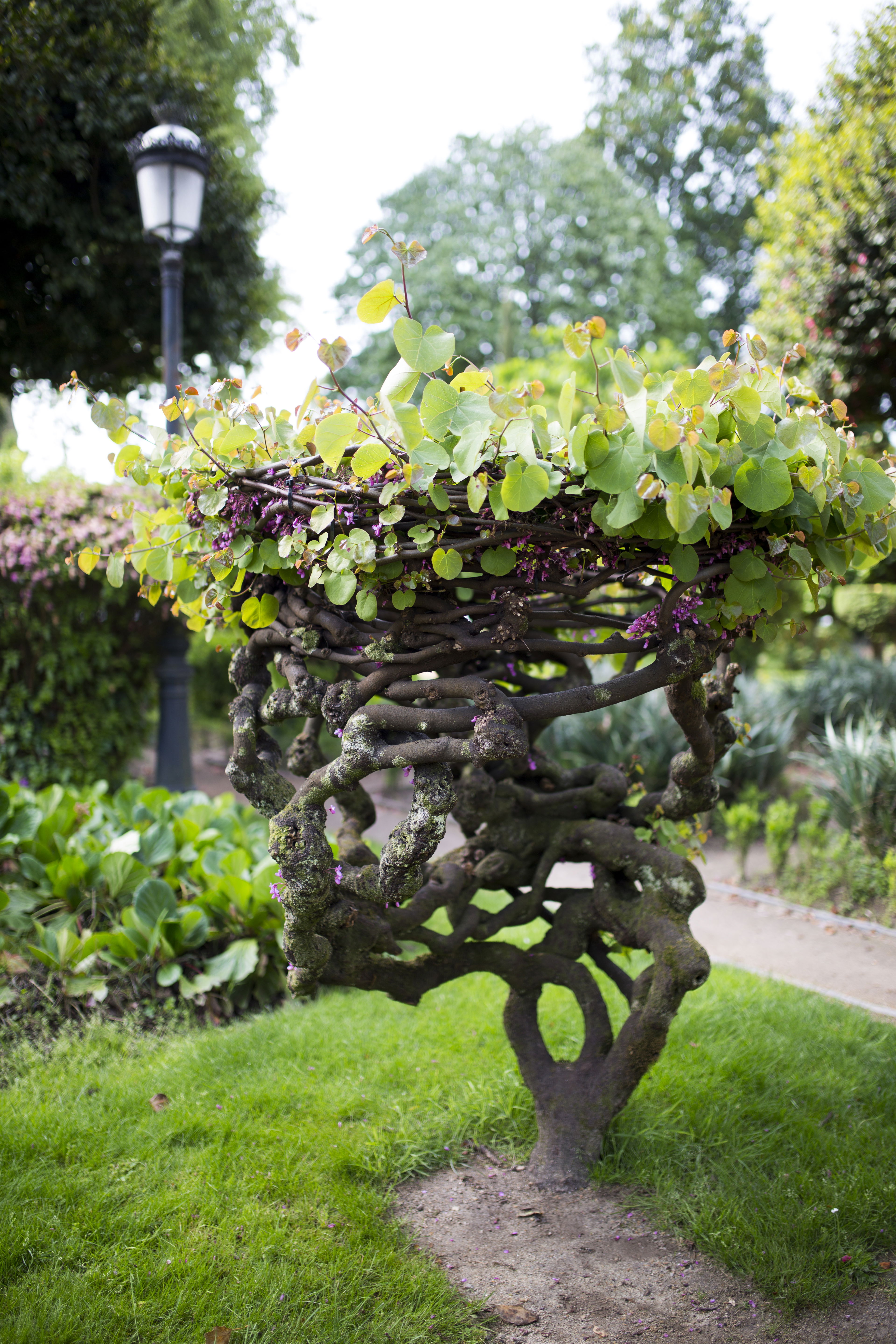 Jardín Botánico-Artístico, por Padrón Turismo