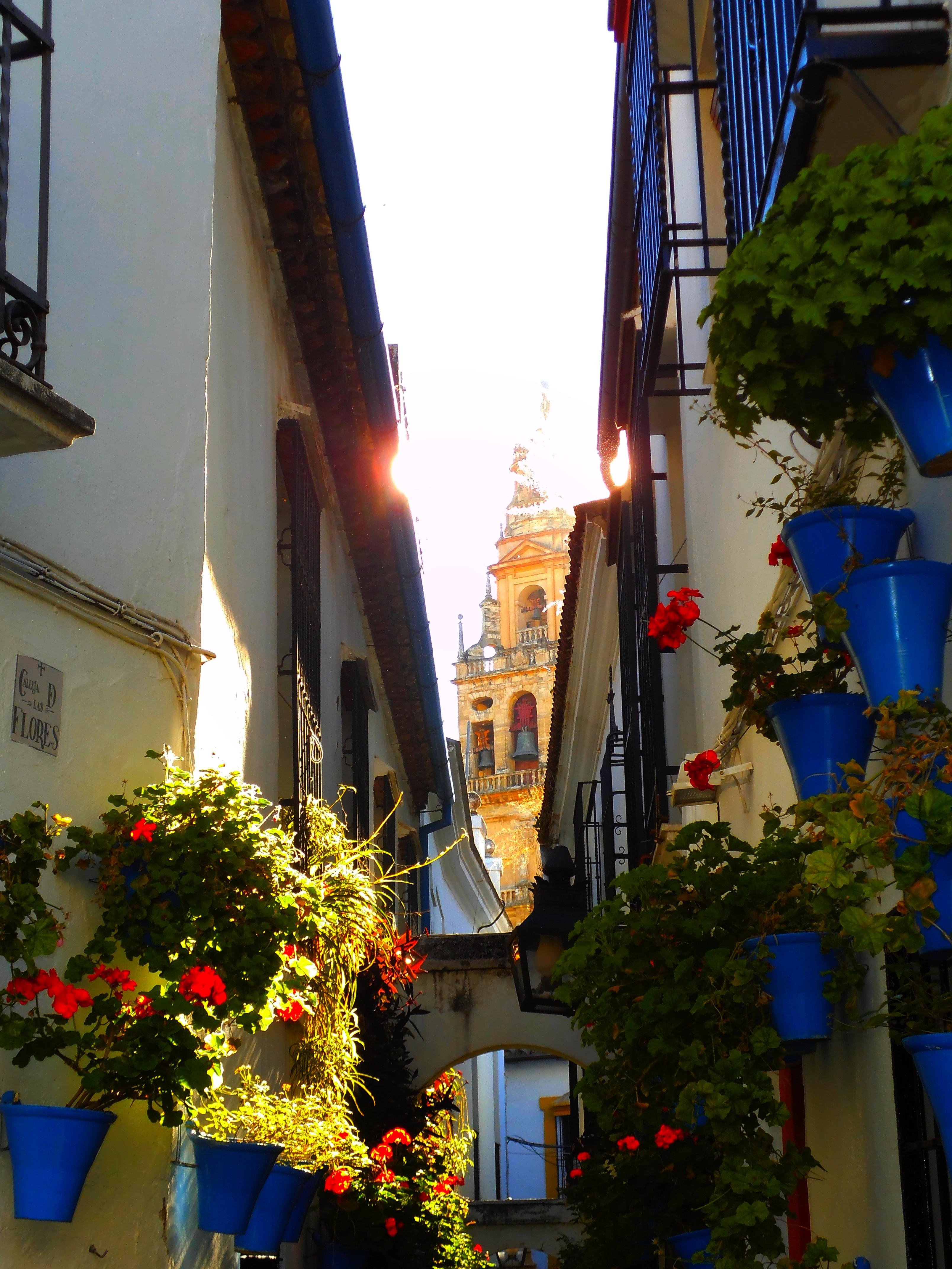 Calleja de las Flores in Córdoba: 23 reviews and 69 photos