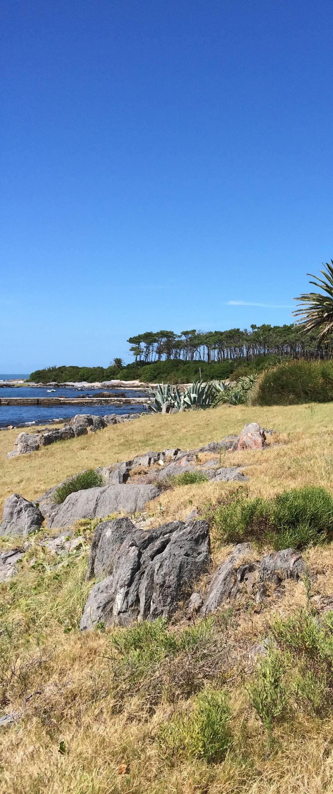 Dia de excursión a Isla Gorriti, por agustin torres