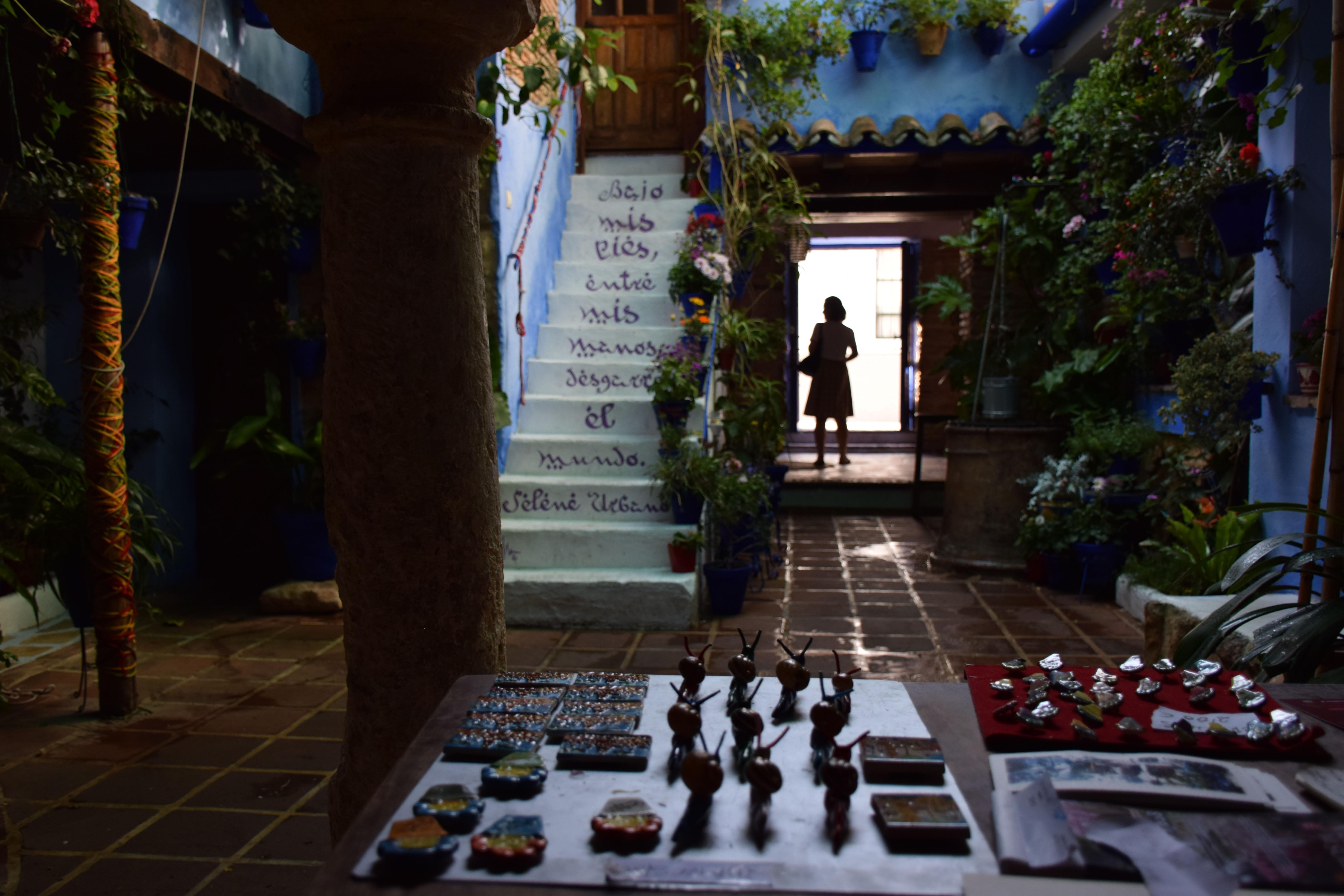 Patios de Córdoba: un viaje por la belleza y la tradición andaluza