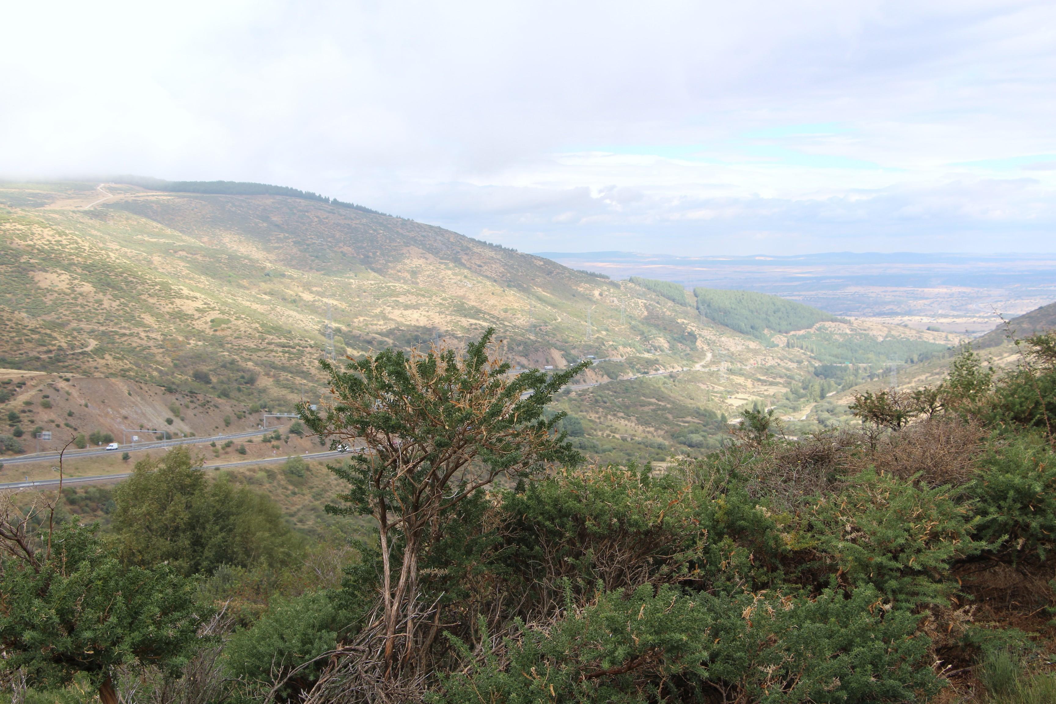 Por la base del Cebollera Vieja., por macmuseo