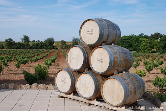 Bodegas y Viñedos Pinuaga, por Turismo Castilla La Mancha