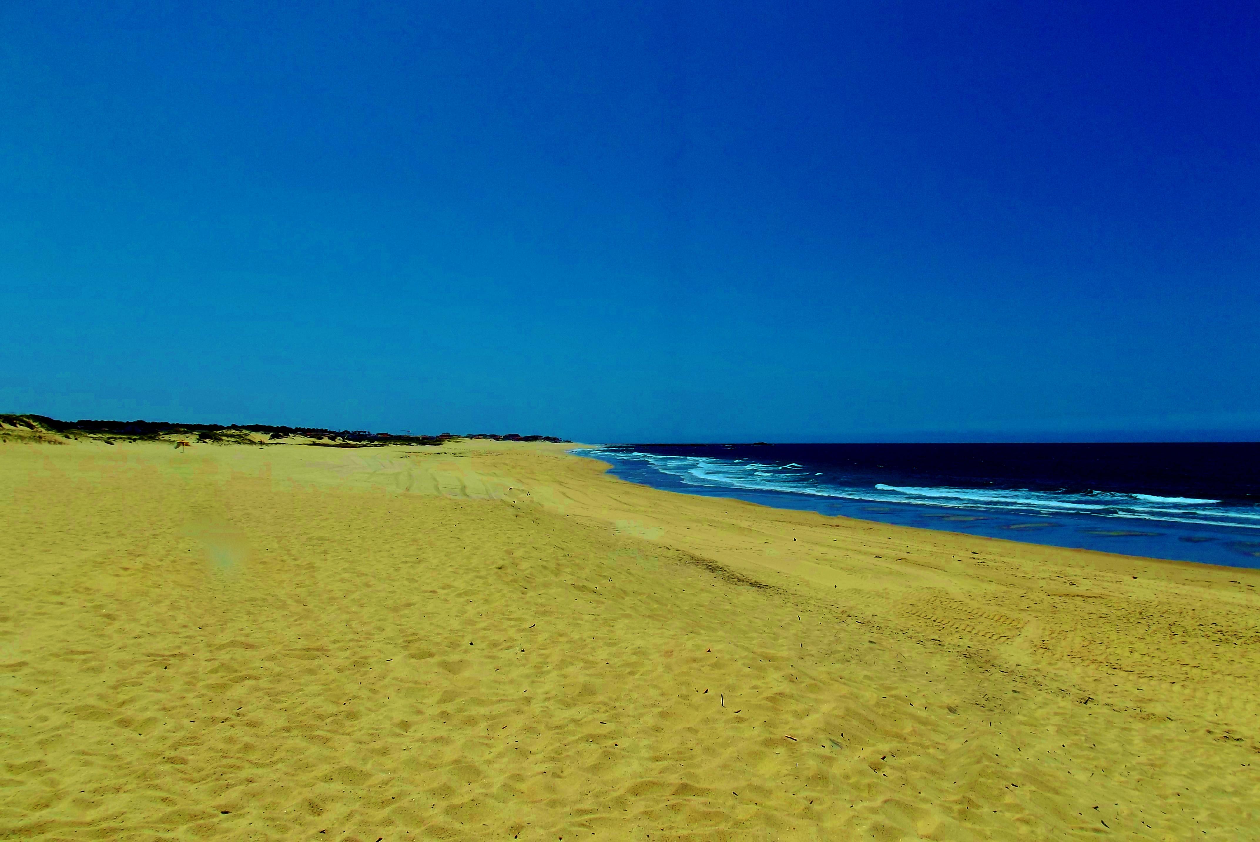 Praia da Árvore, por Carlos