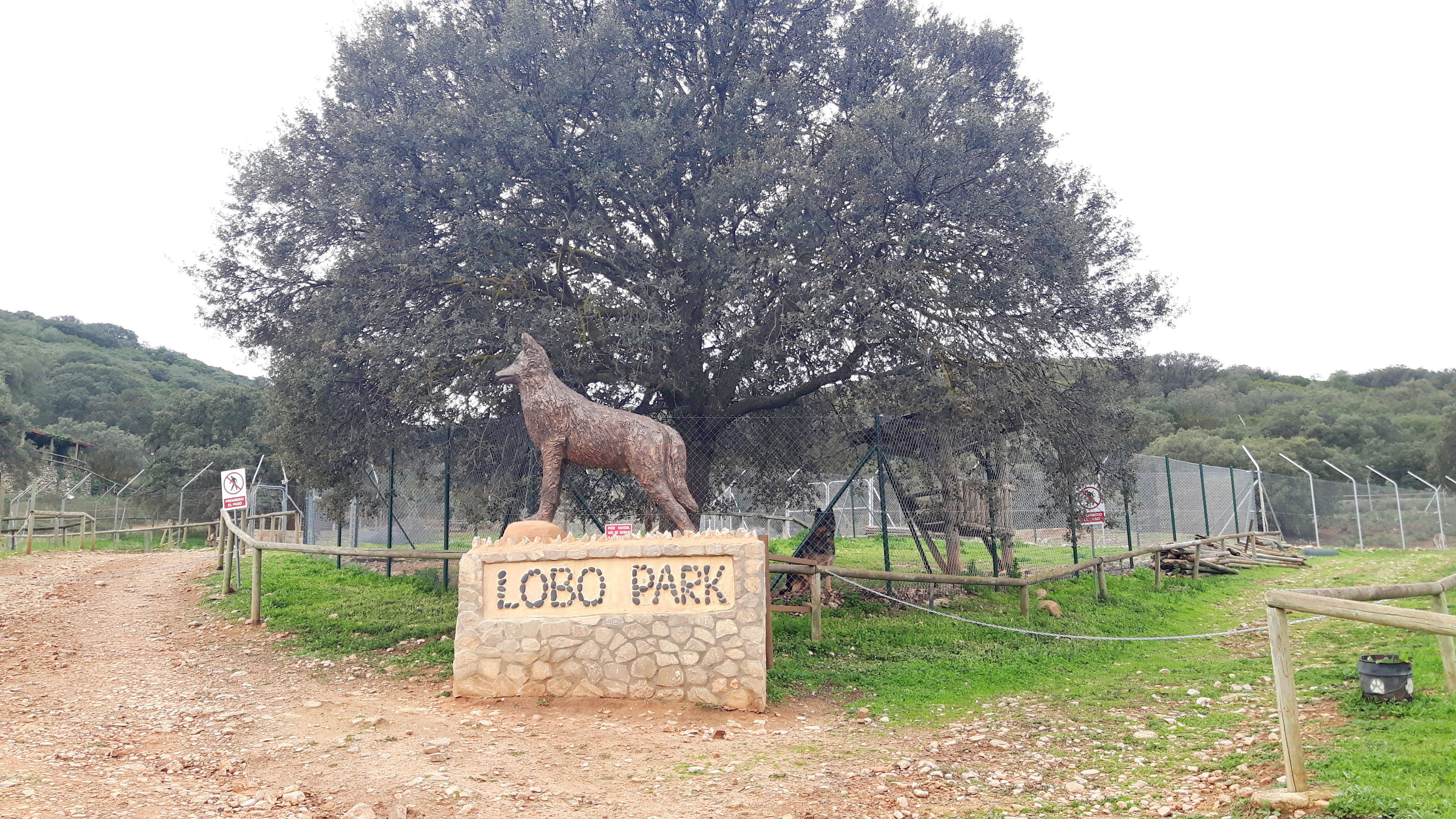 Diversión y naturaleza en el entretenimiento de Antequera