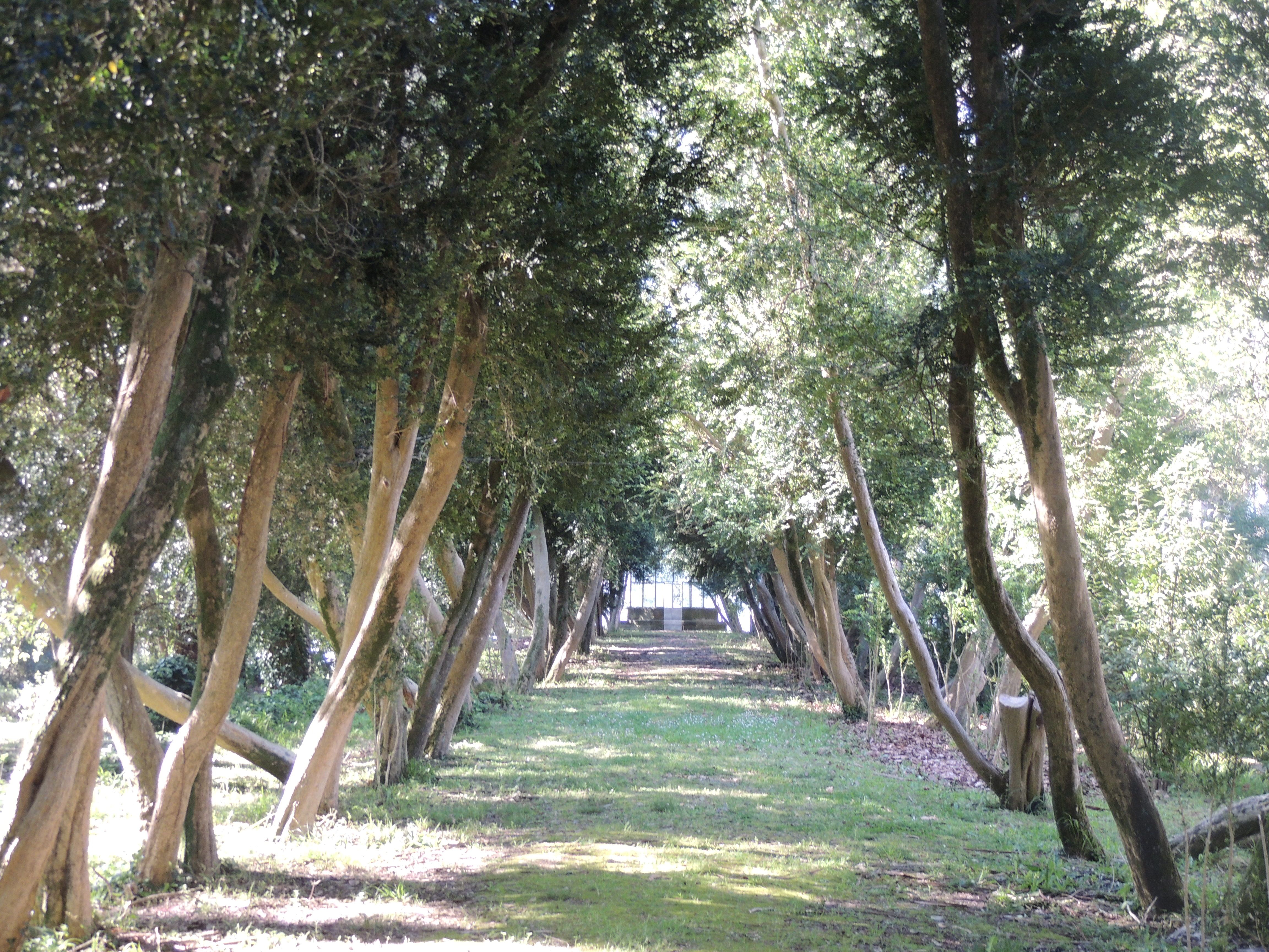 Paseo dos Buxos, por Dónde vamos Eva