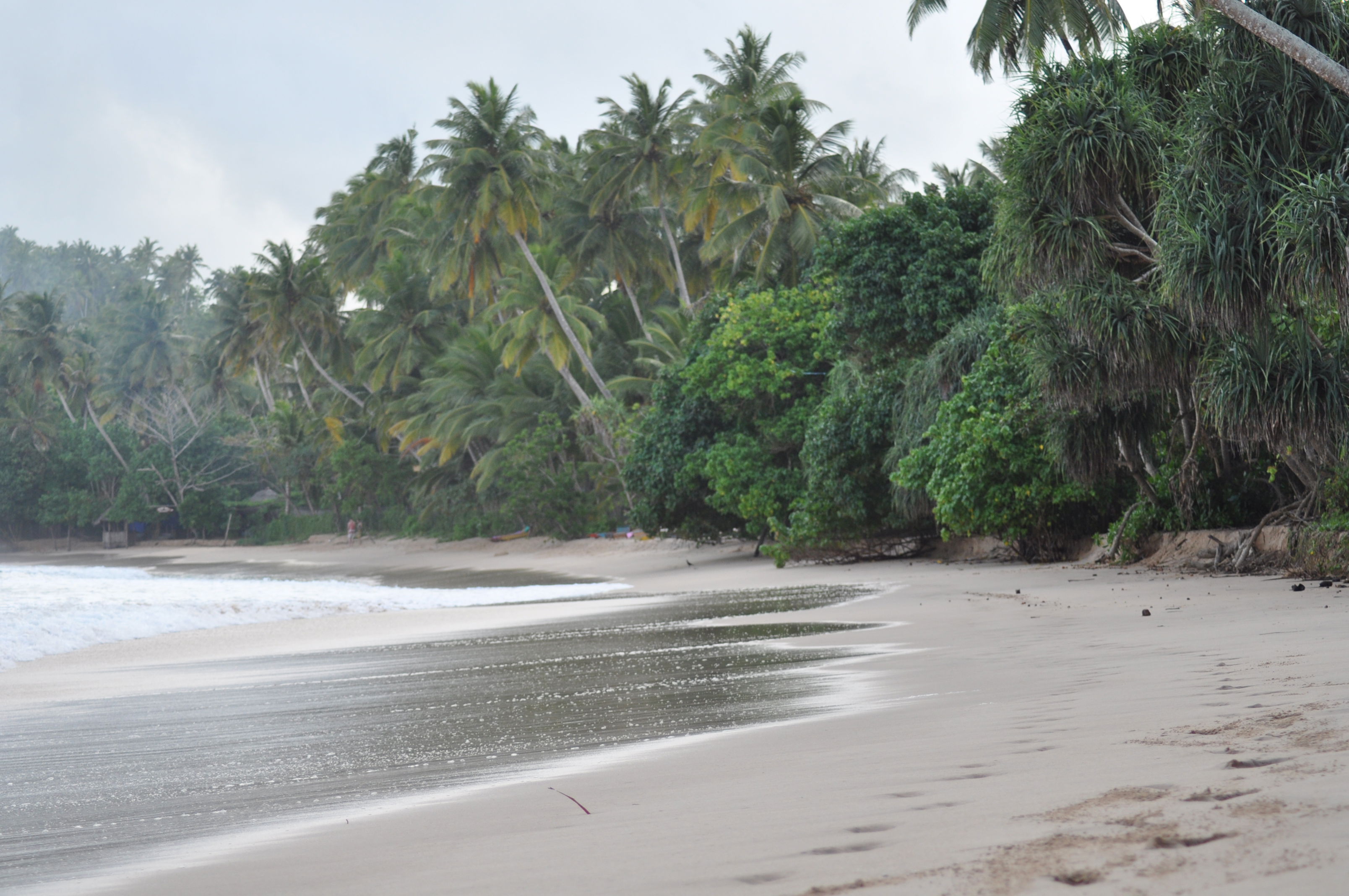 Playa de Tangalle, por guanche