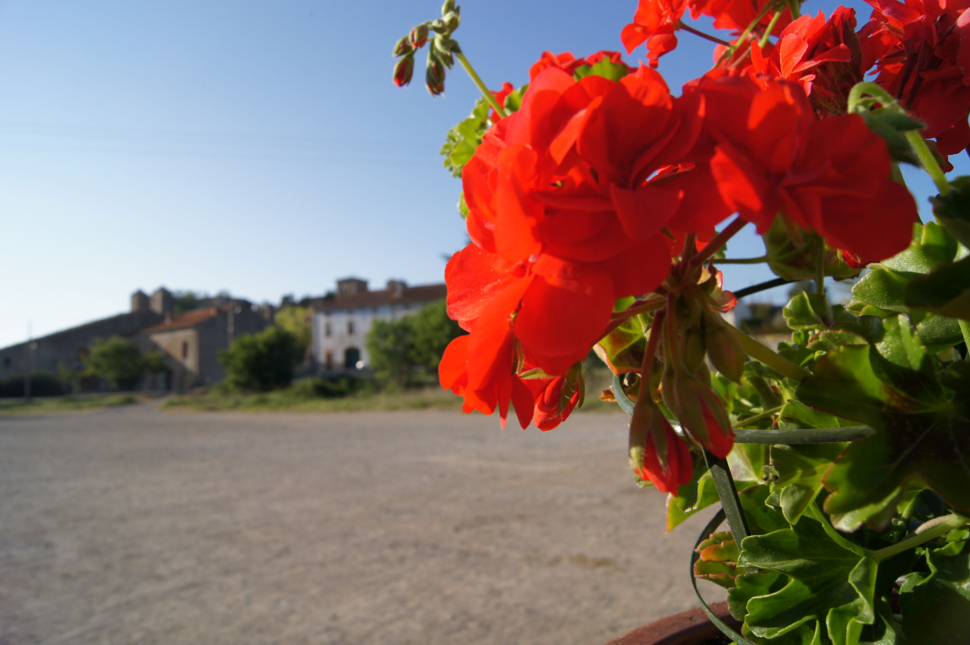 Argens, por Philippe Trzebiatowski