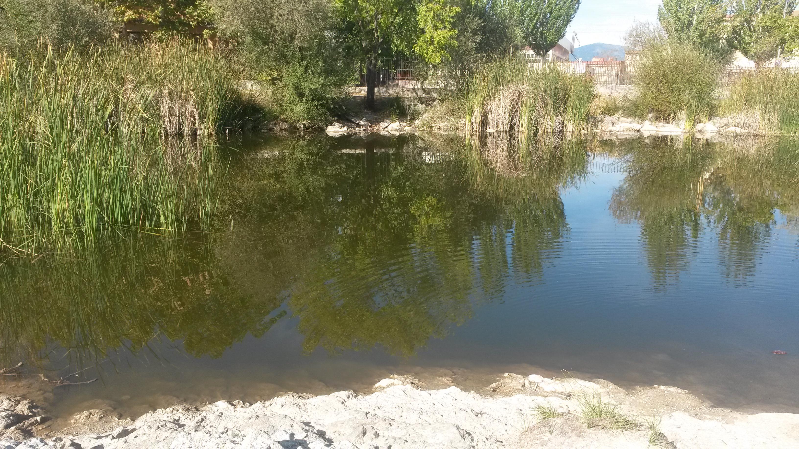 Arroyo de la Laguna, por carmen