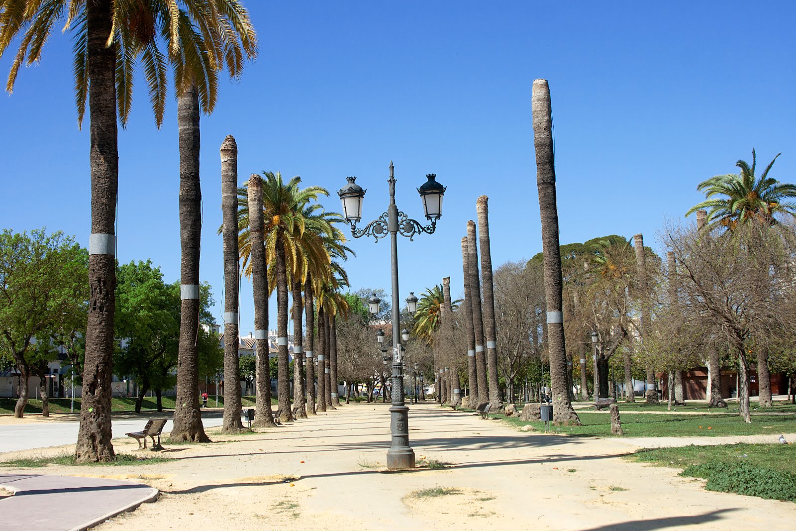 Parque González Hontoria, por Perfil inactivo