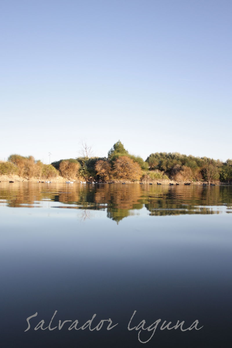 Parque El Barreo, por Salva Laguna