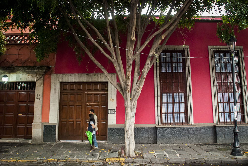 Avenida Francisco Sosa, por Nirmal Ramo