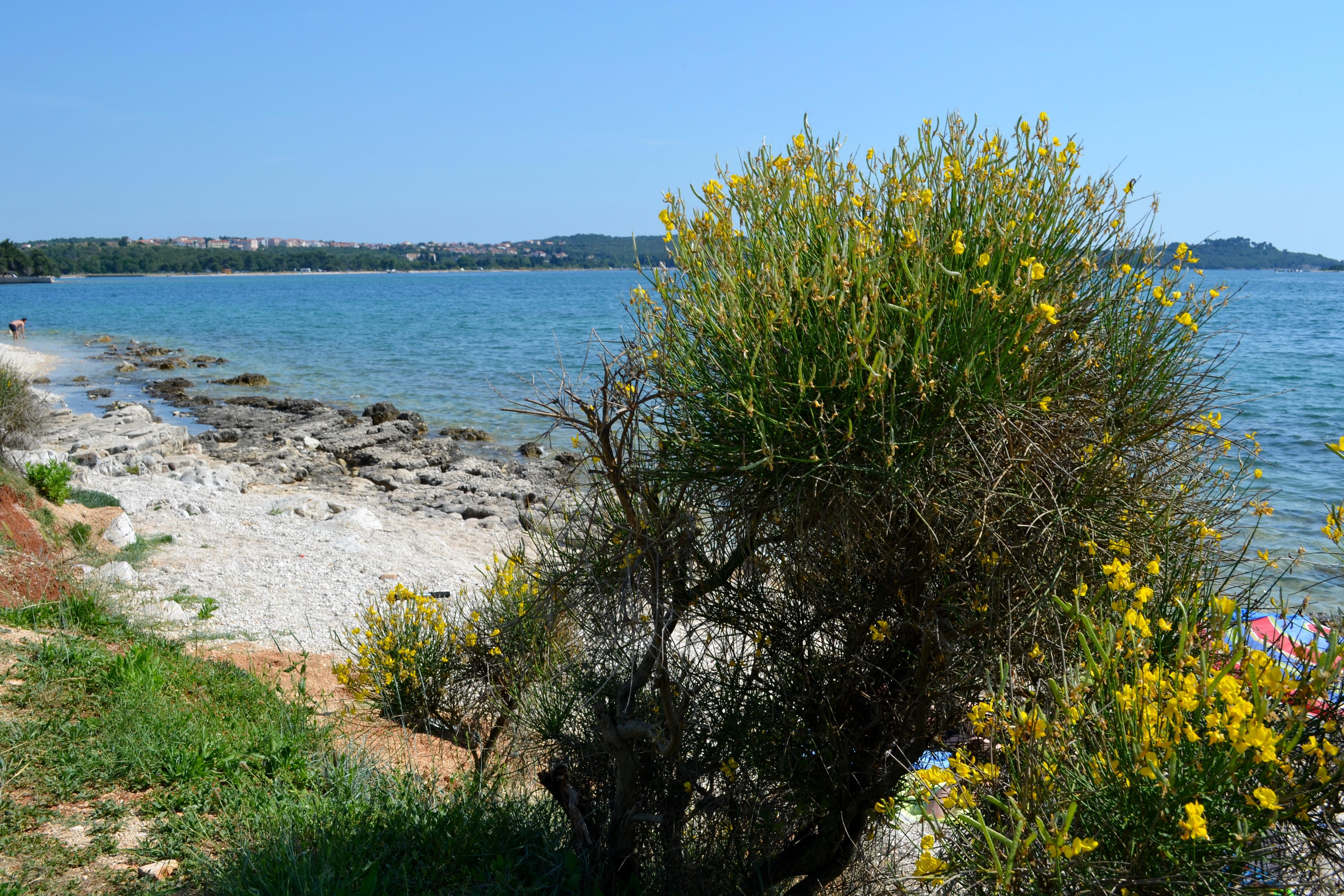 Playas de Istra que te enamorarán con su belleza y encanto