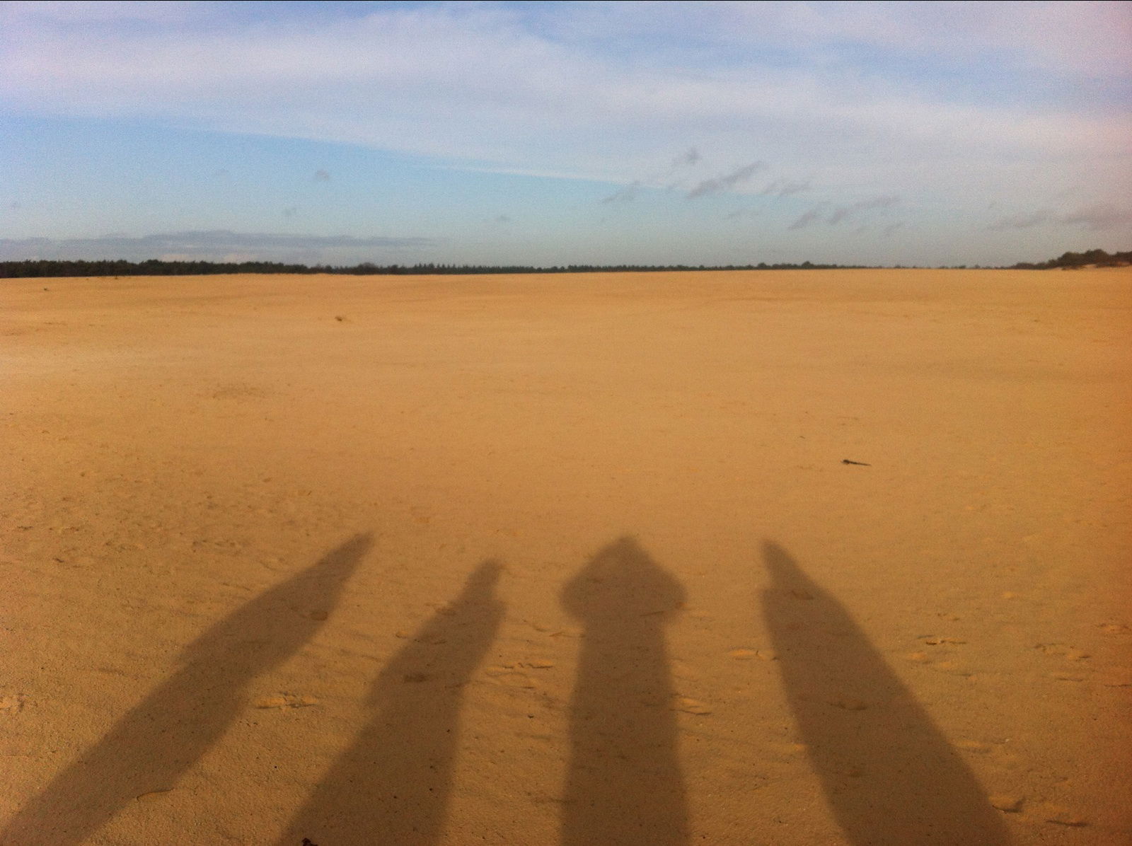 Loonse En Drunense Duinen, por Juan Pedro Villalon