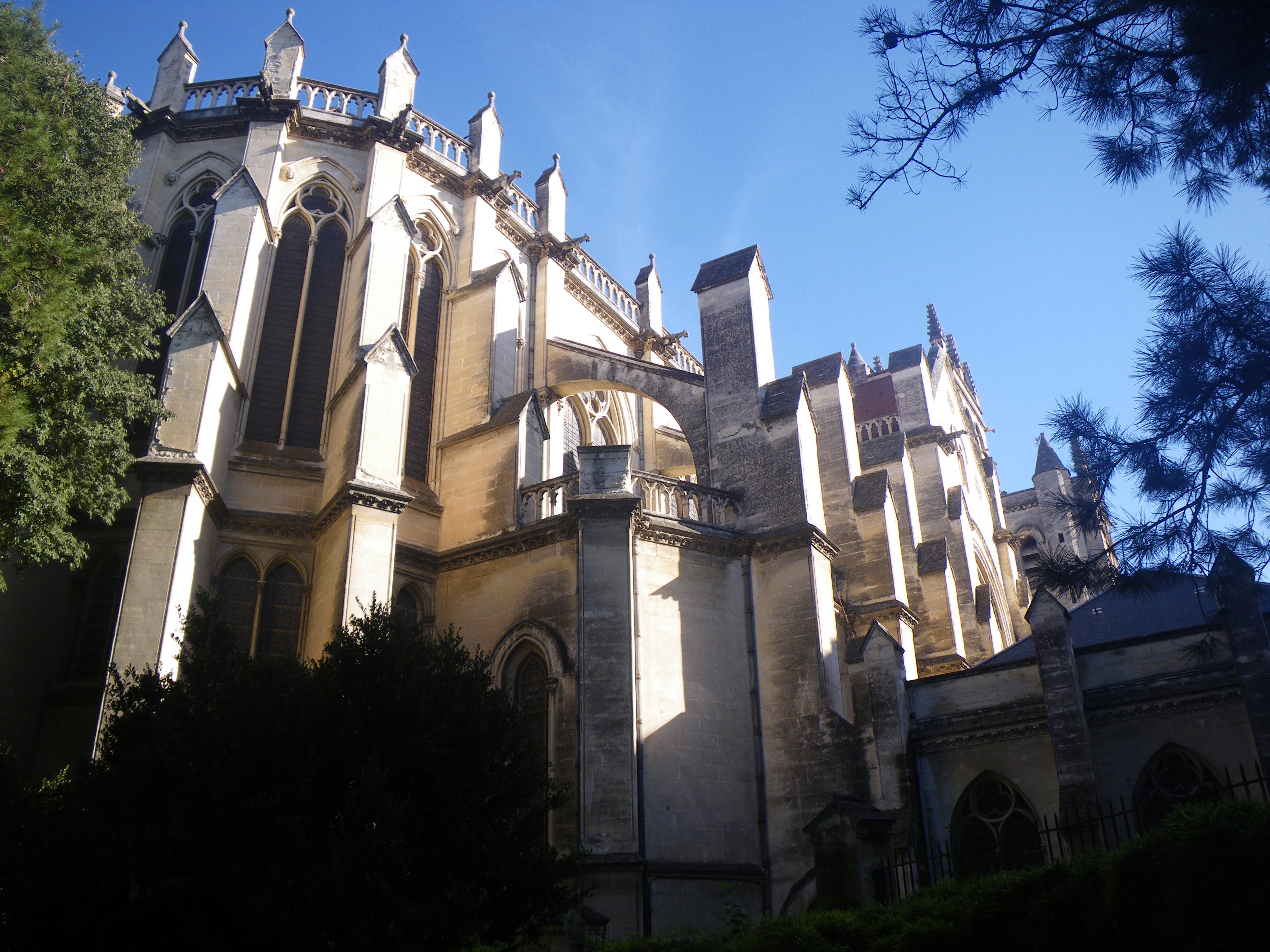 Catedral San Pedro, por Zombeni
