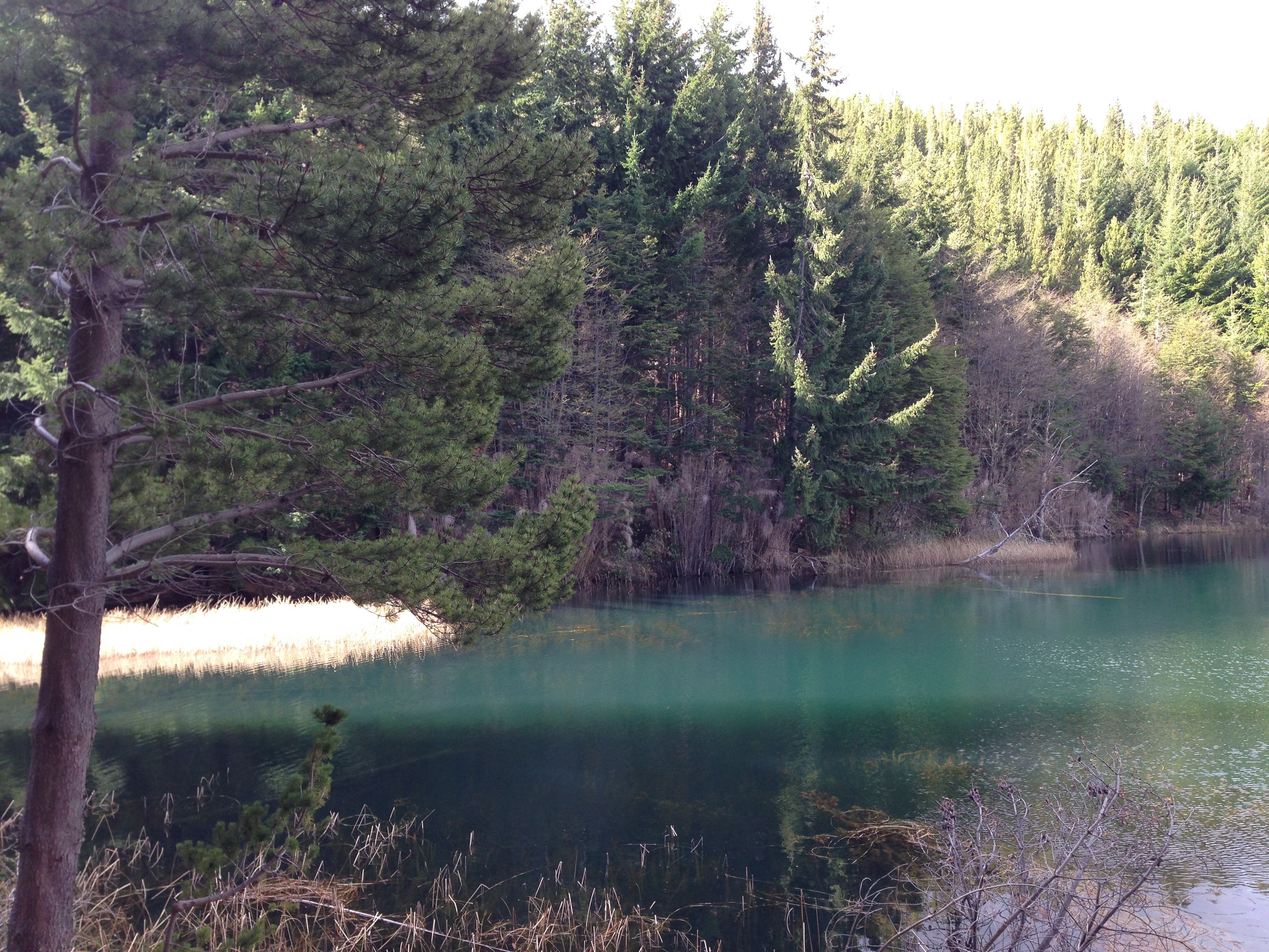 Laguna Verde, por Camila Sayuri