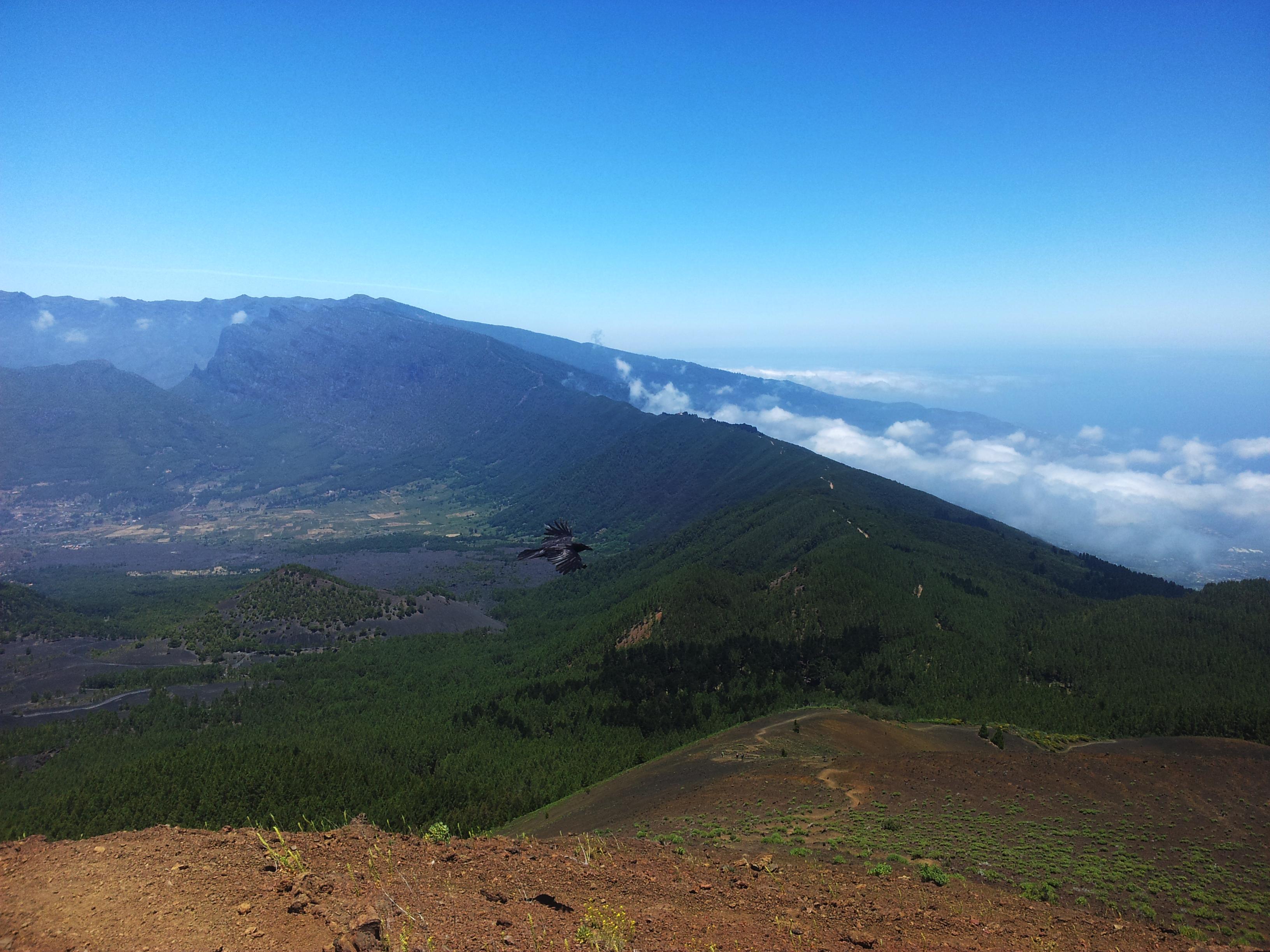 Valles en Canarias: paisajes singulares que te cautivarán