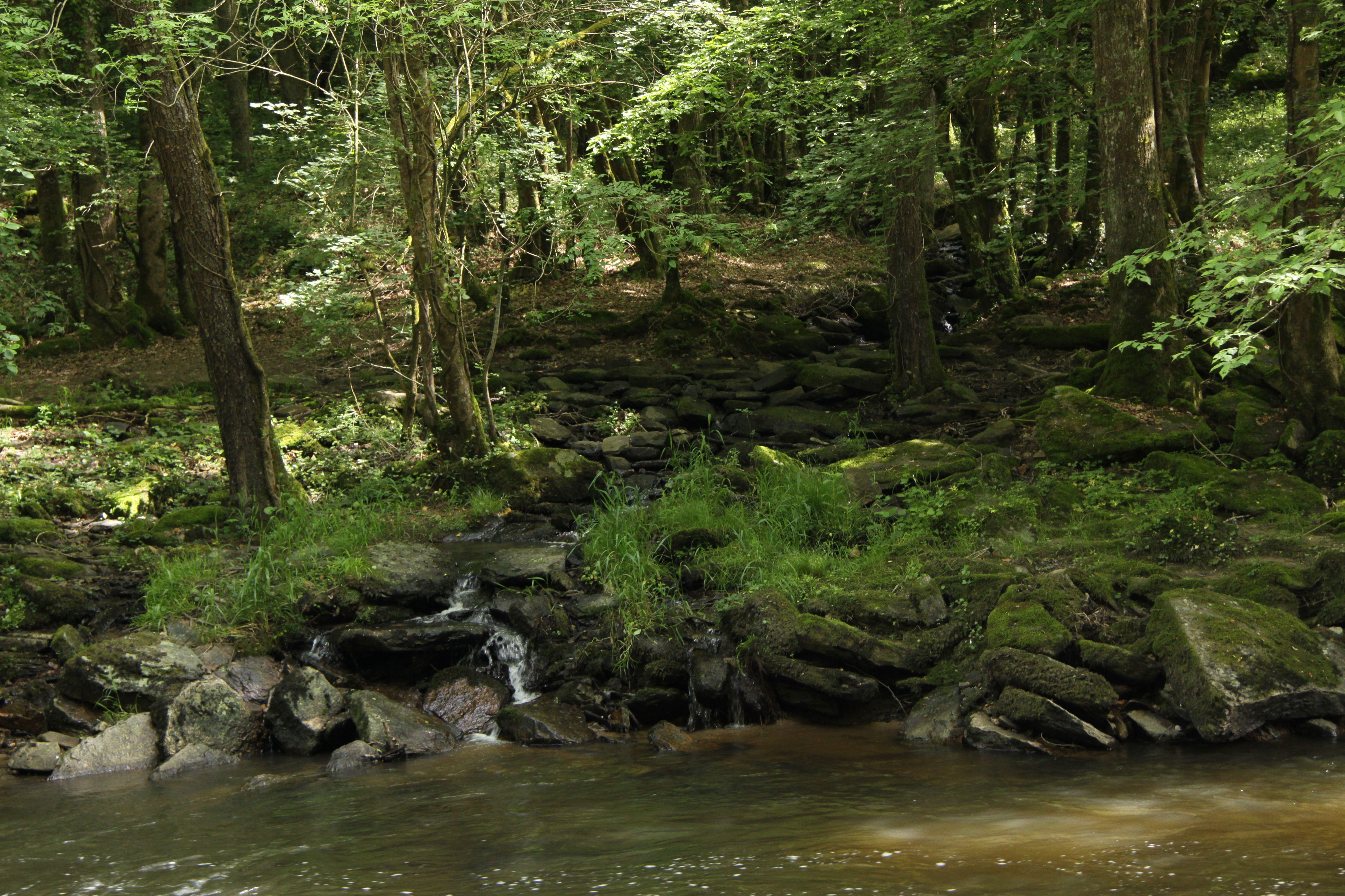 Aire libre de Lemos: parajes naturales y actividades inolvidables