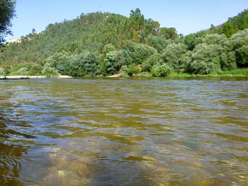 Río Mondego, por Luise GP