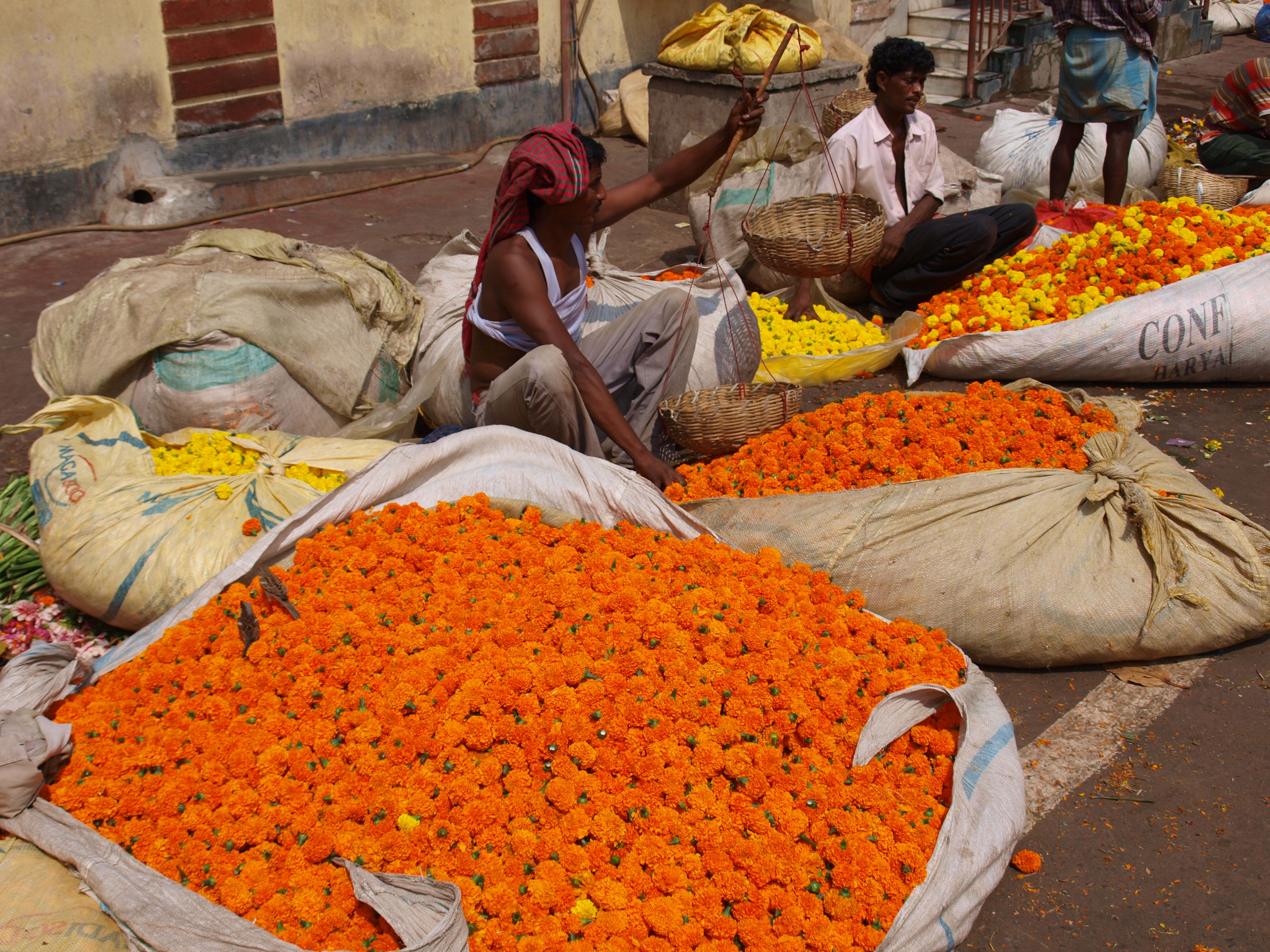 Mercados de India donde la cultura y el comercio se encuentran