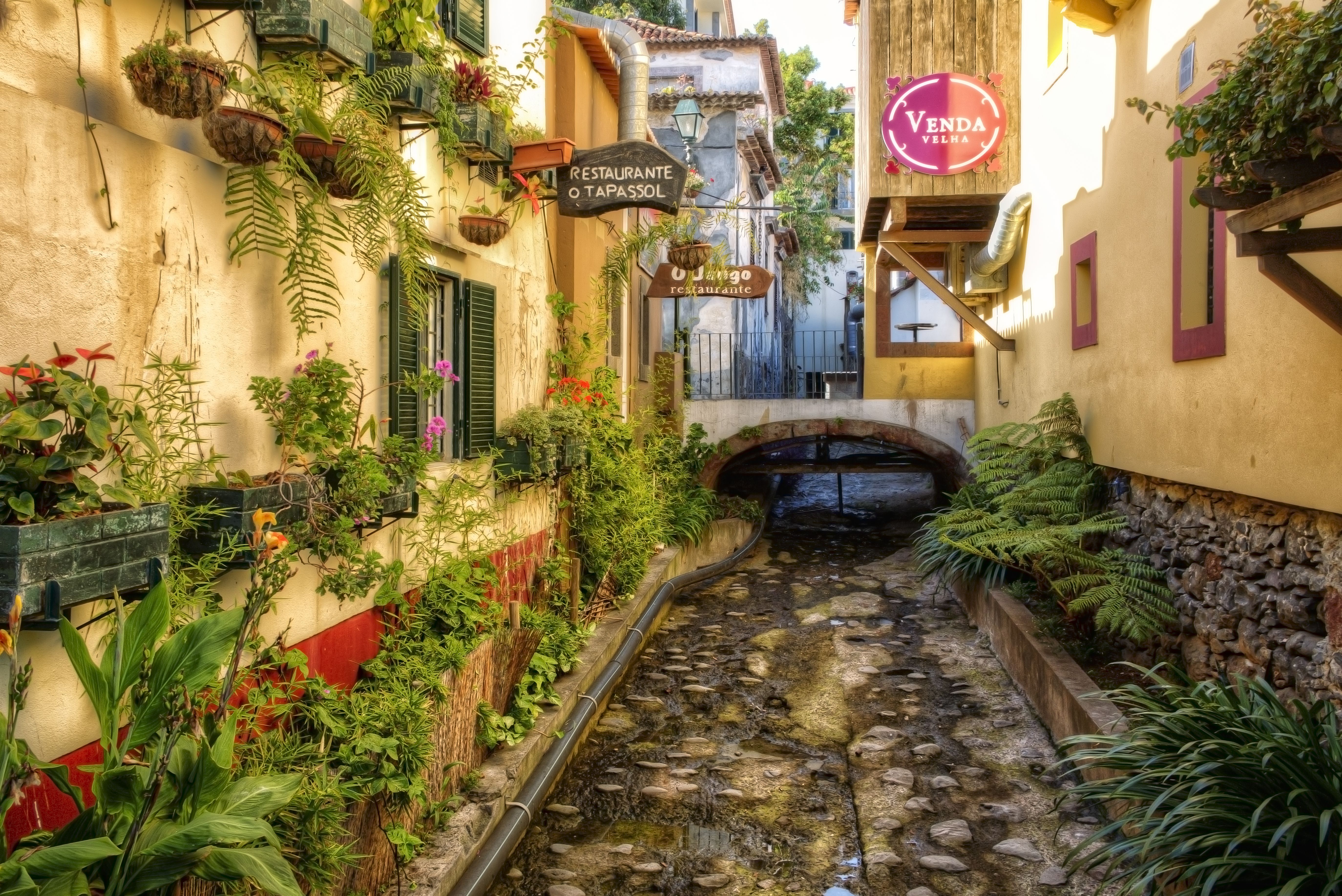 Calles en Funchal que cuentan historias de vida y cultura