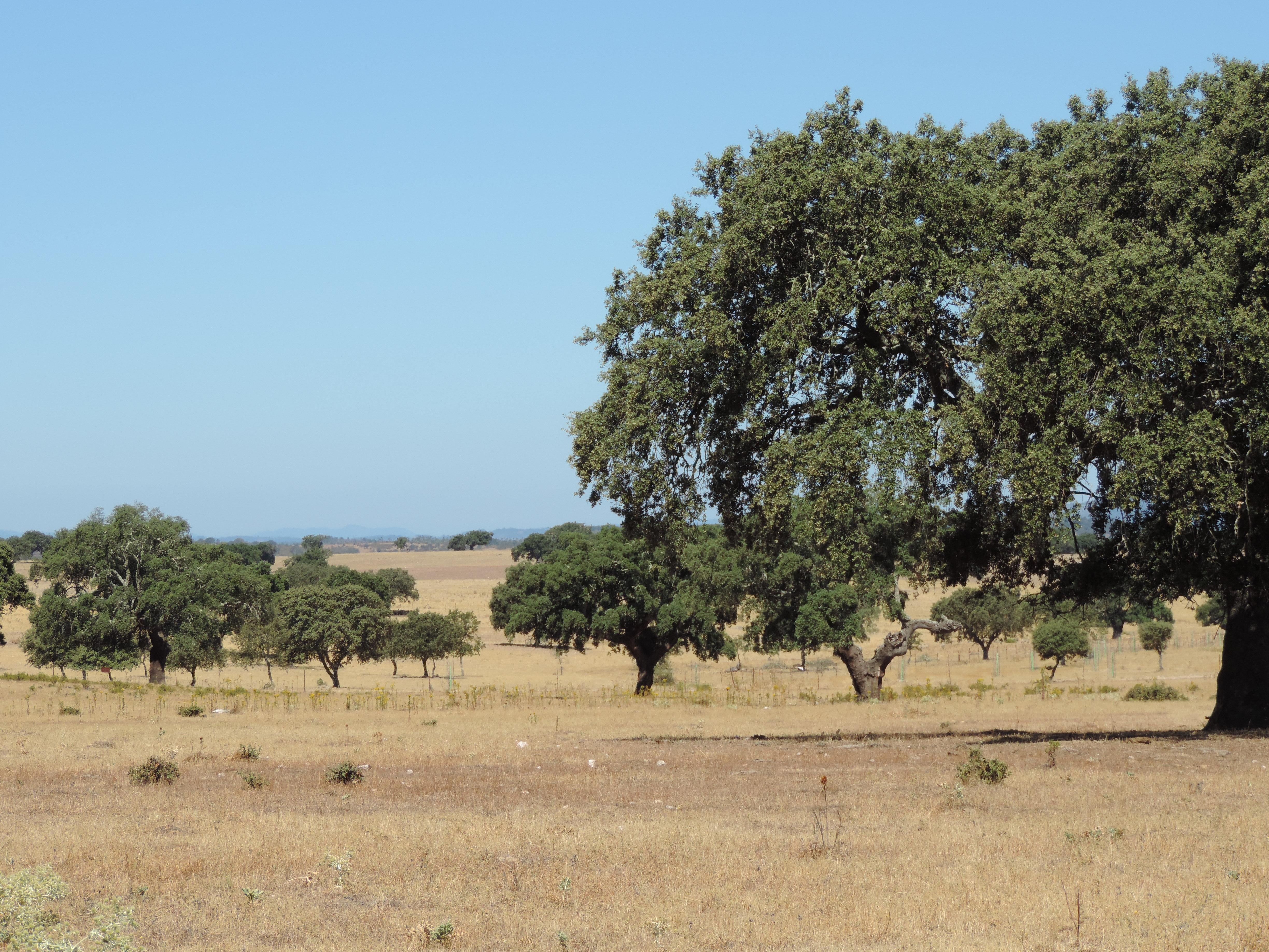 Descubre los encantos de interés turístico en Cáceres que no te puedes perder