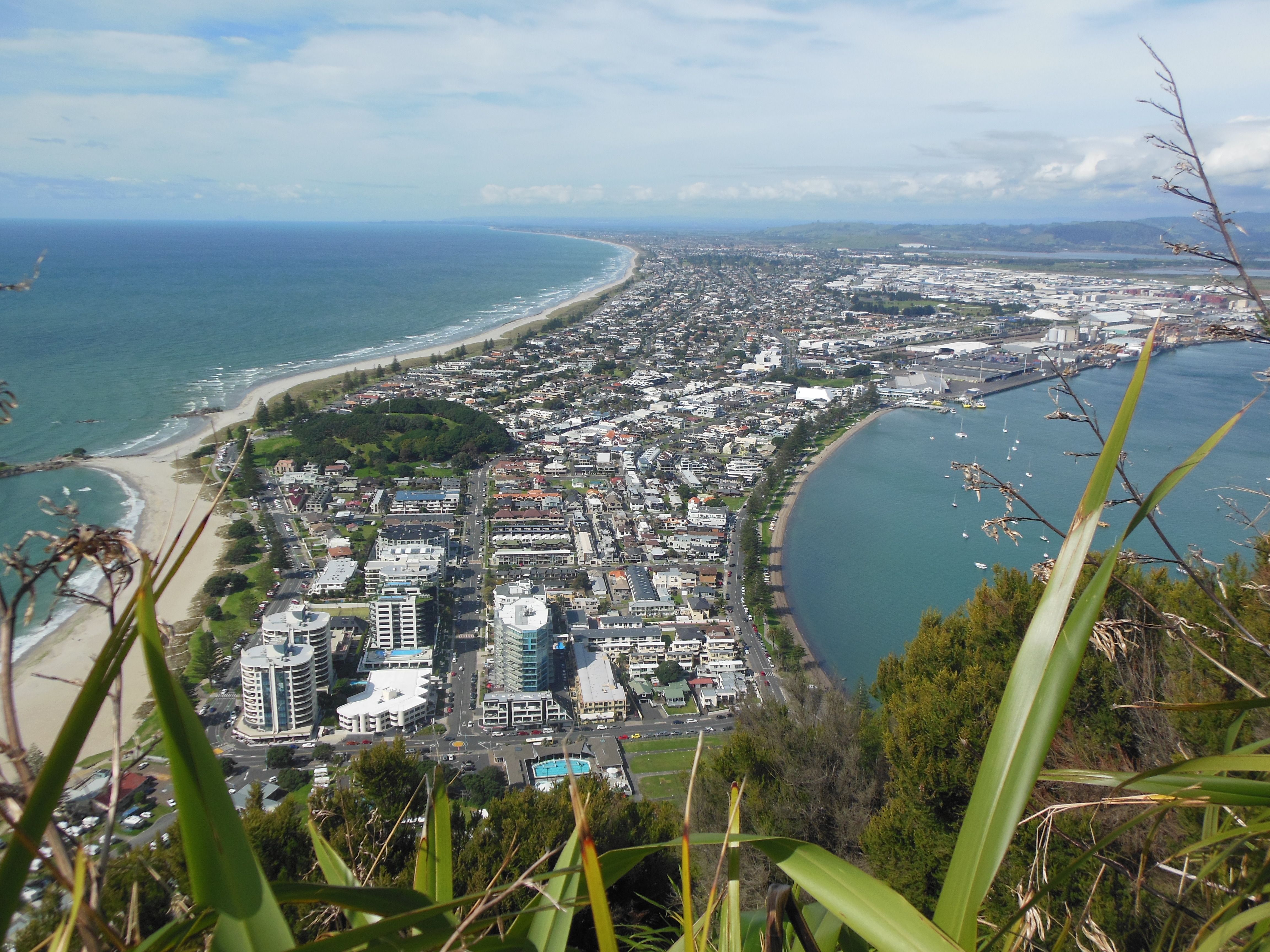 Mount Manganui, por Patricia DiBenedetto