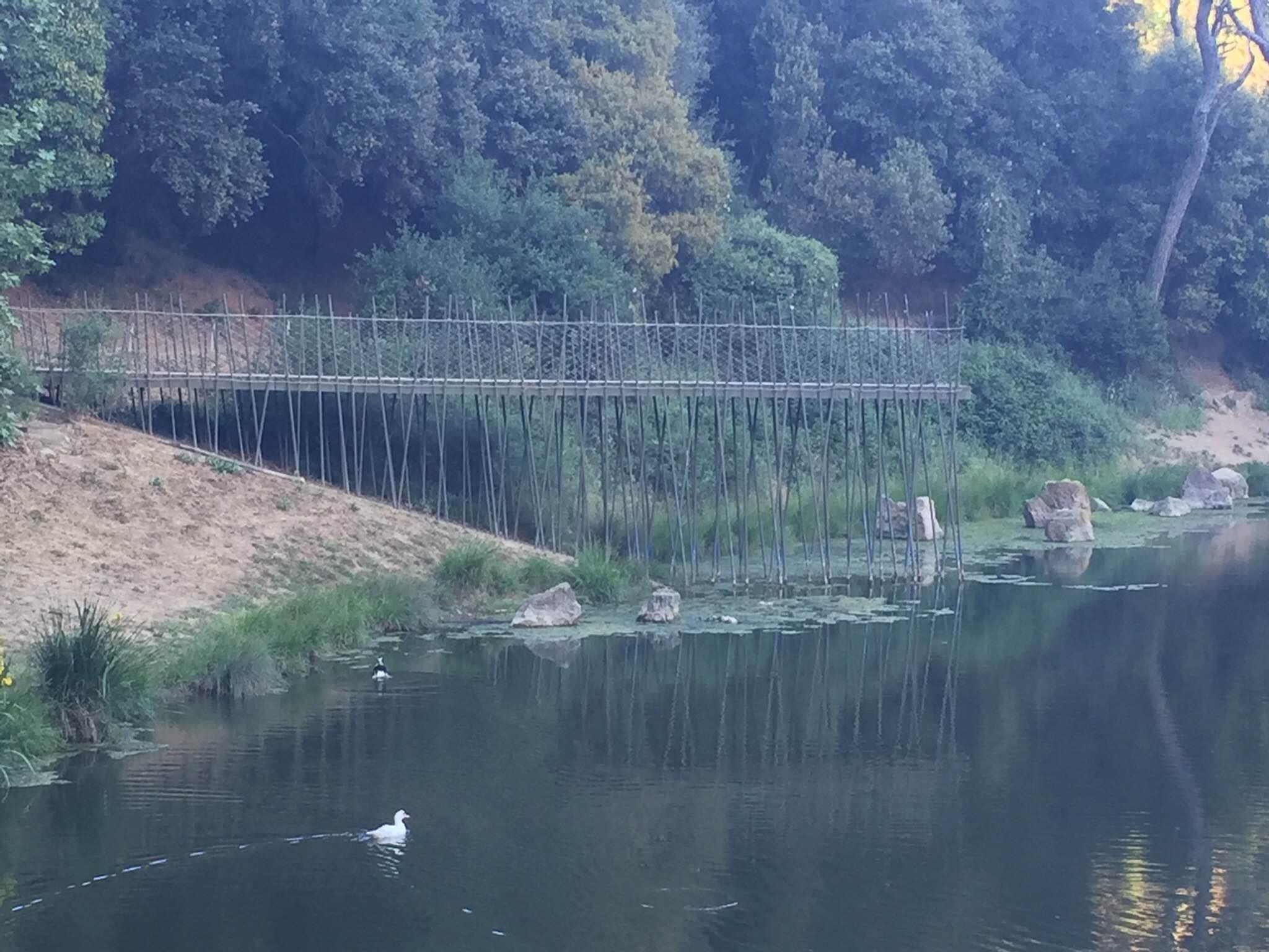 Embalse de Vallvidrera, por Tarque
