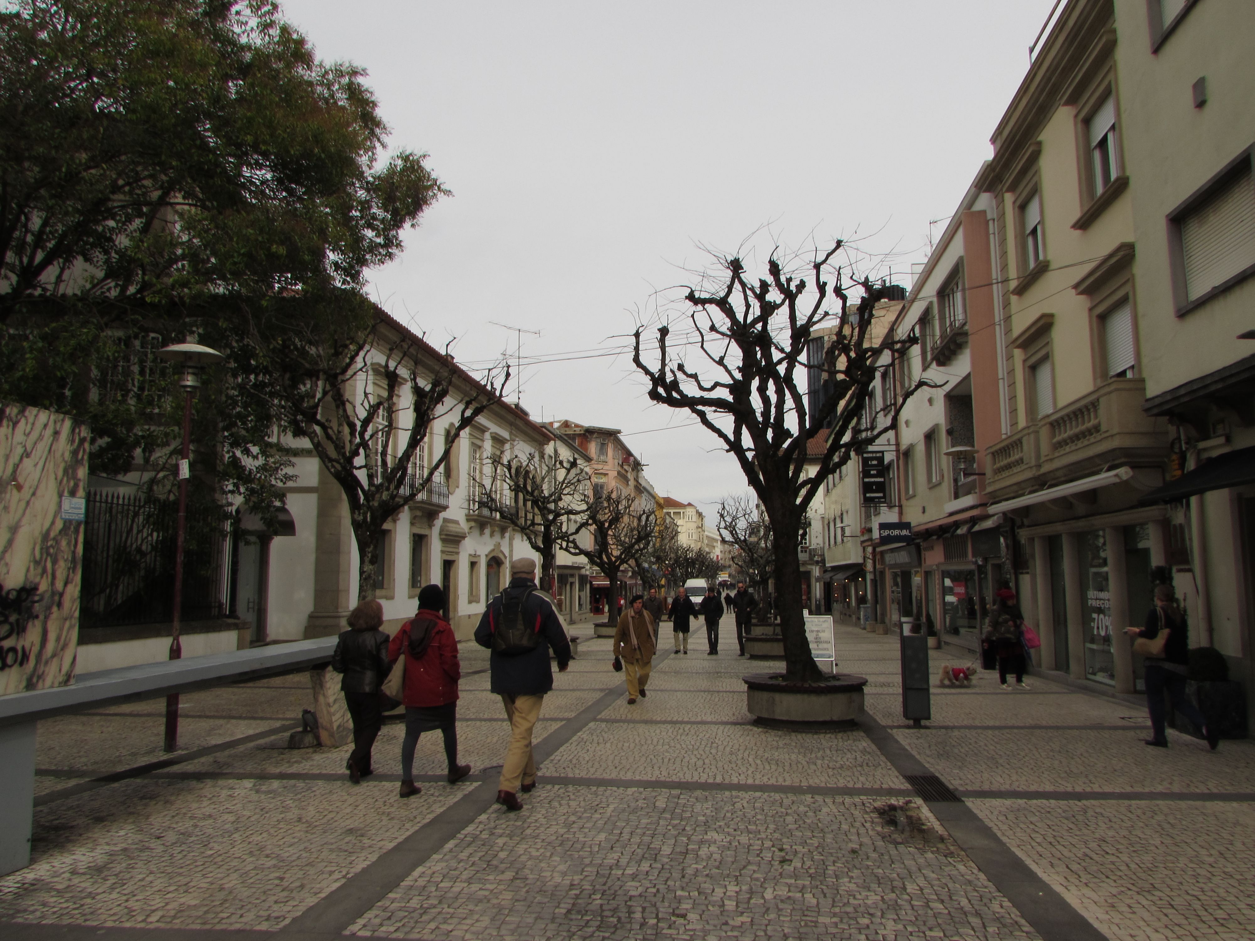 Rua Francisco Sanches, por Helena Compadre