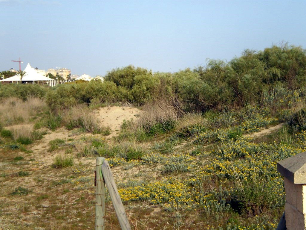 Parque Litoral de Islantilla, por Lala