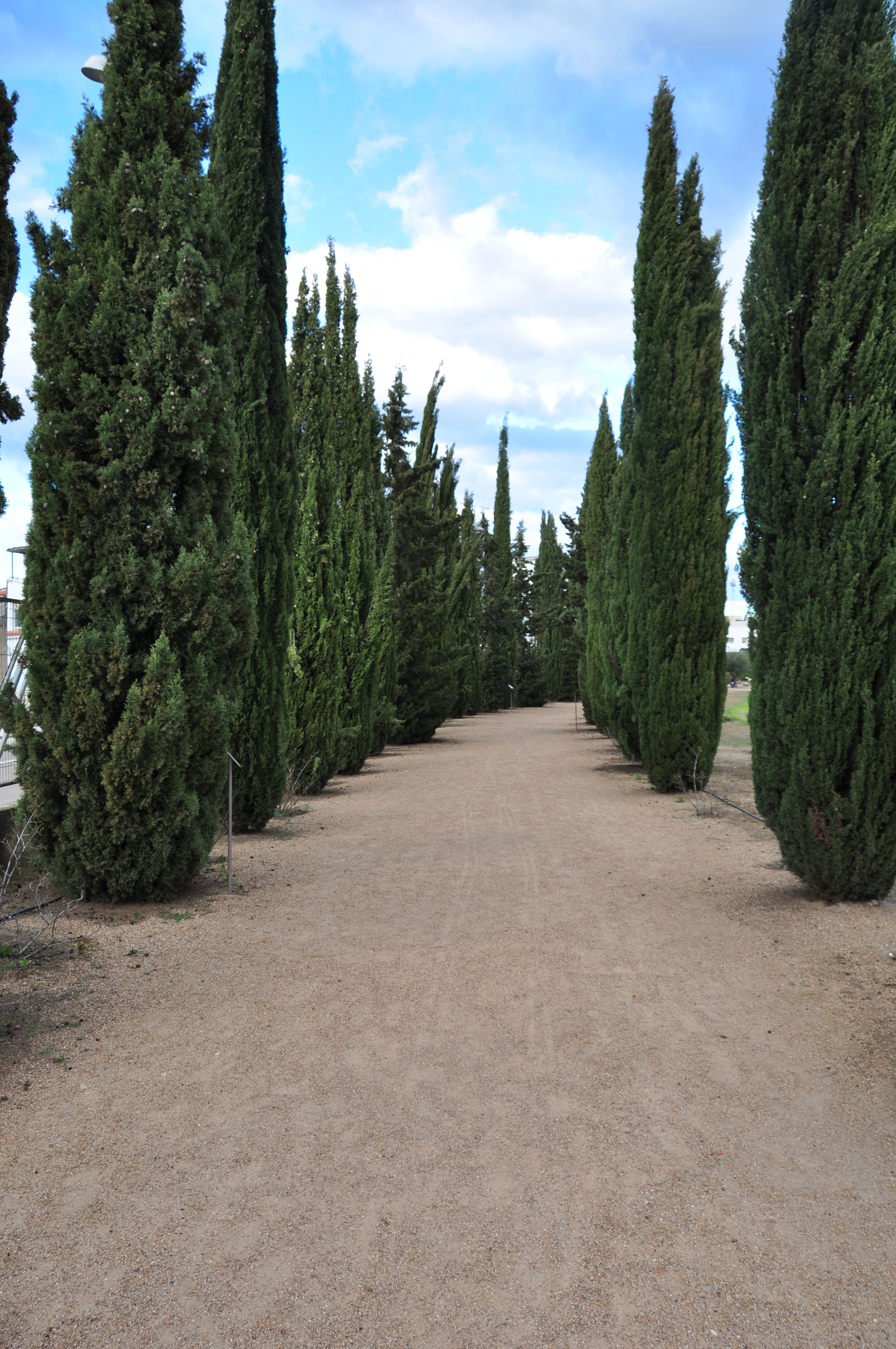 Paseo de estoicos y epicureos, por Kris por el mundo