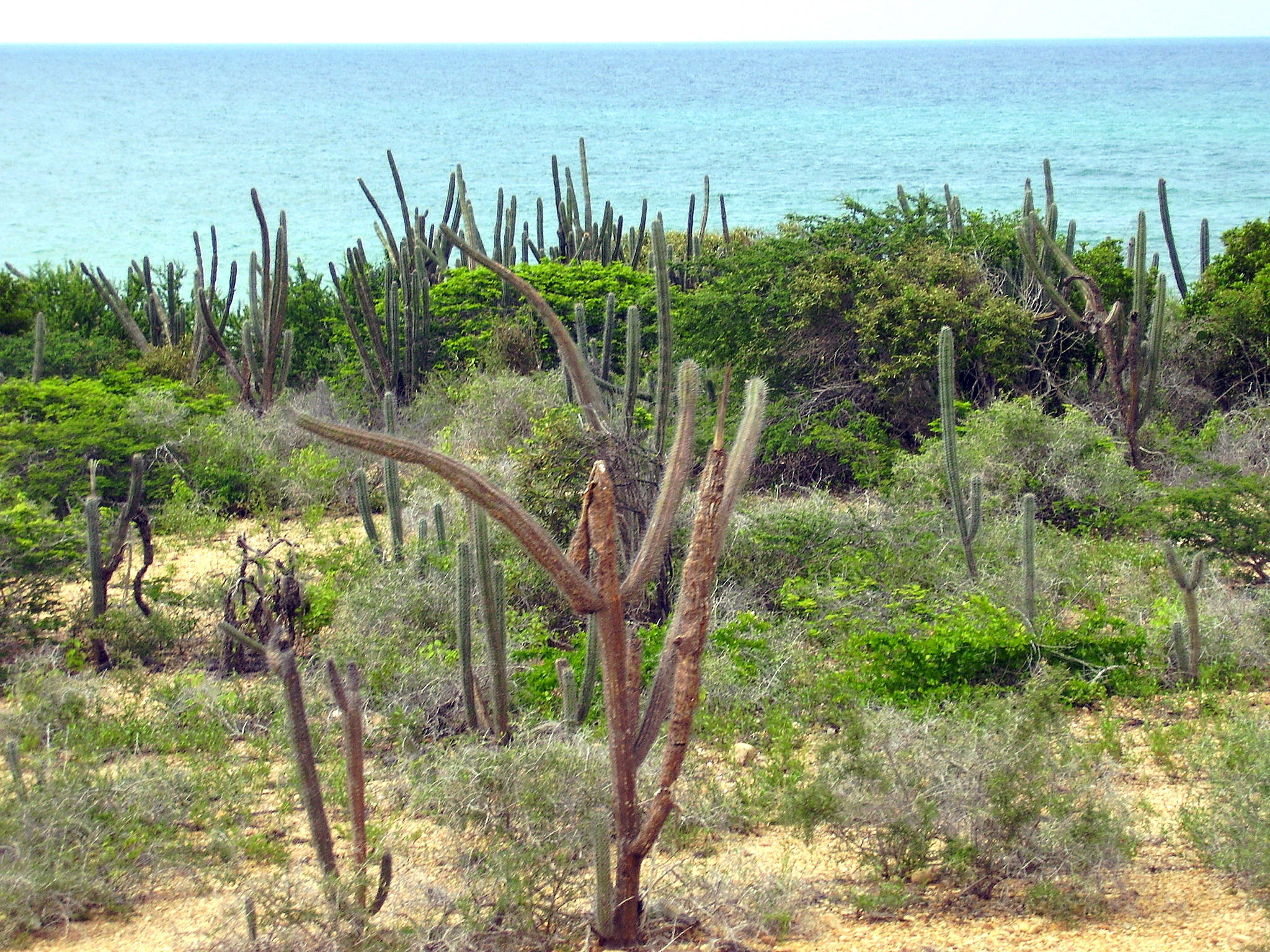 Península de Macanao - Excursión en 4x4, por Lala