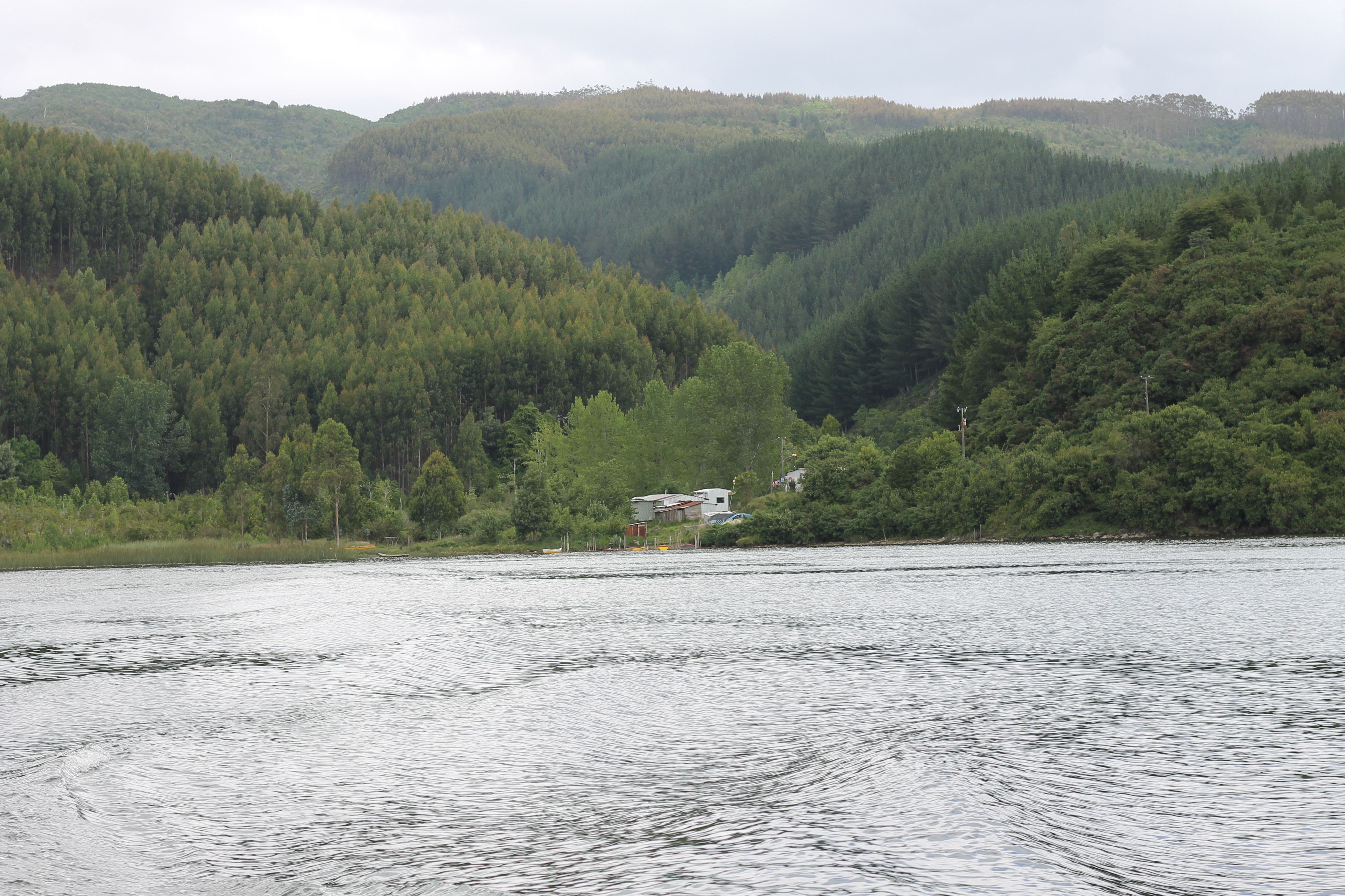 Ríos en Valdivia: un viaje entre paisajes y tradiciones fluviales