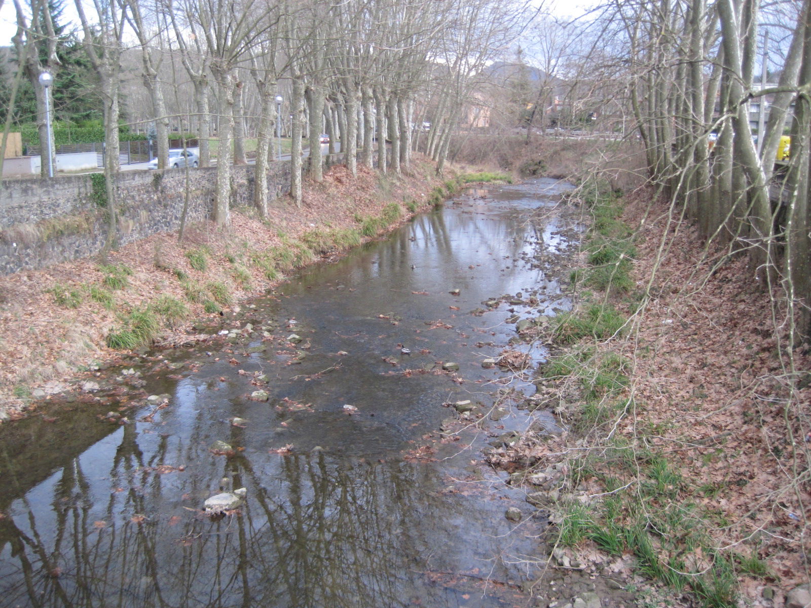 El Río Fluviá en Olot, por margsand