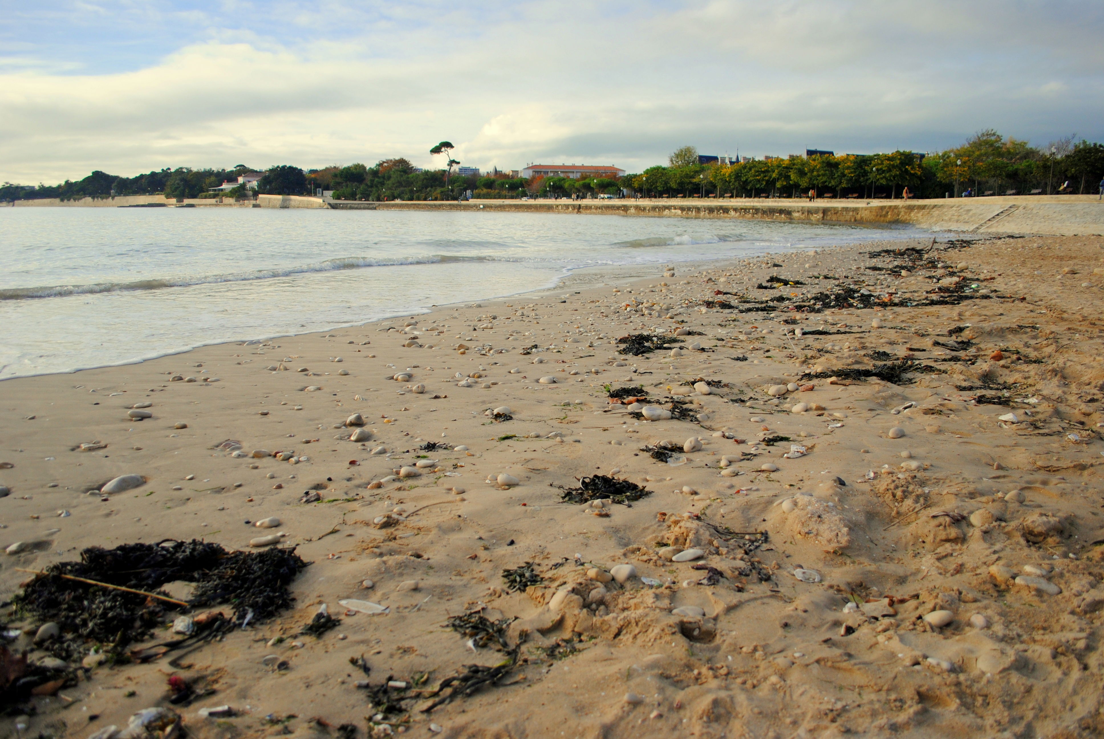 Playas en La Rochelle: descubre su magia y encanto costero