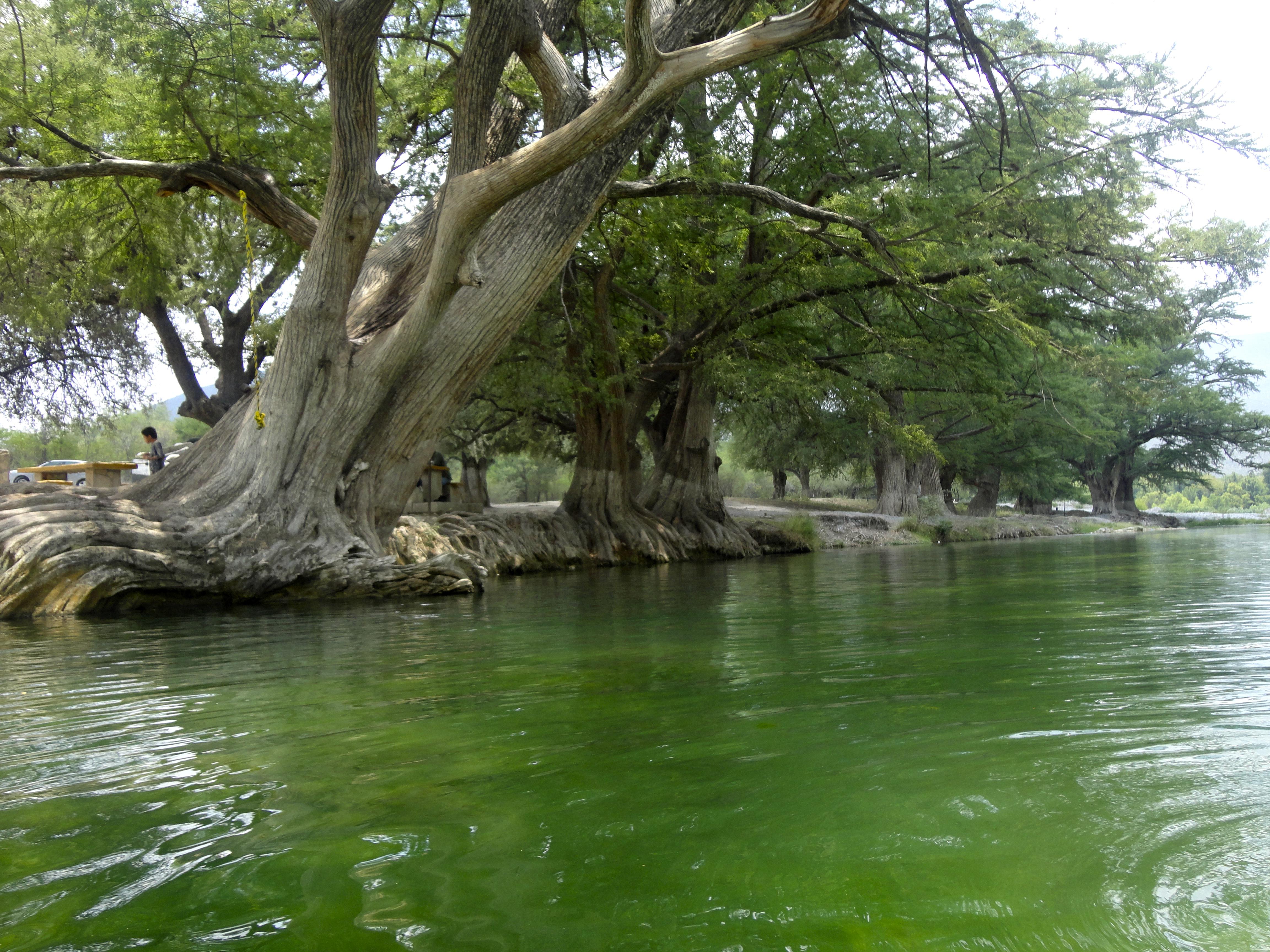 Charco del Lobo, por Diana Patricia Montemayor Flores