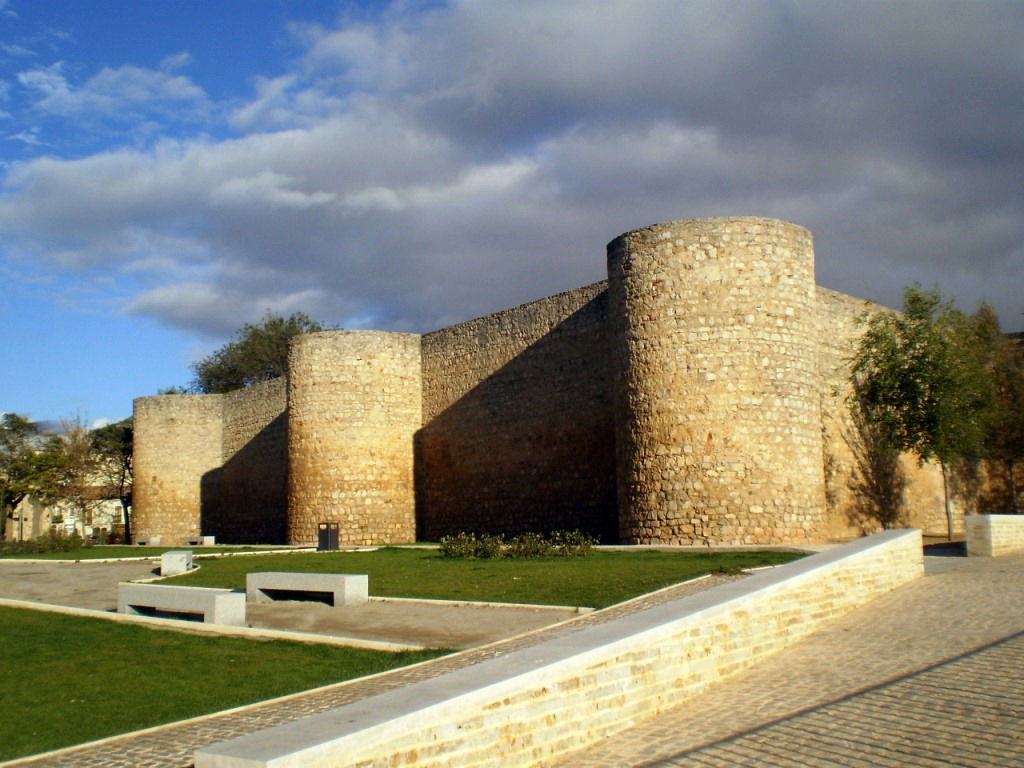 Alcázar de Toro, por Lala