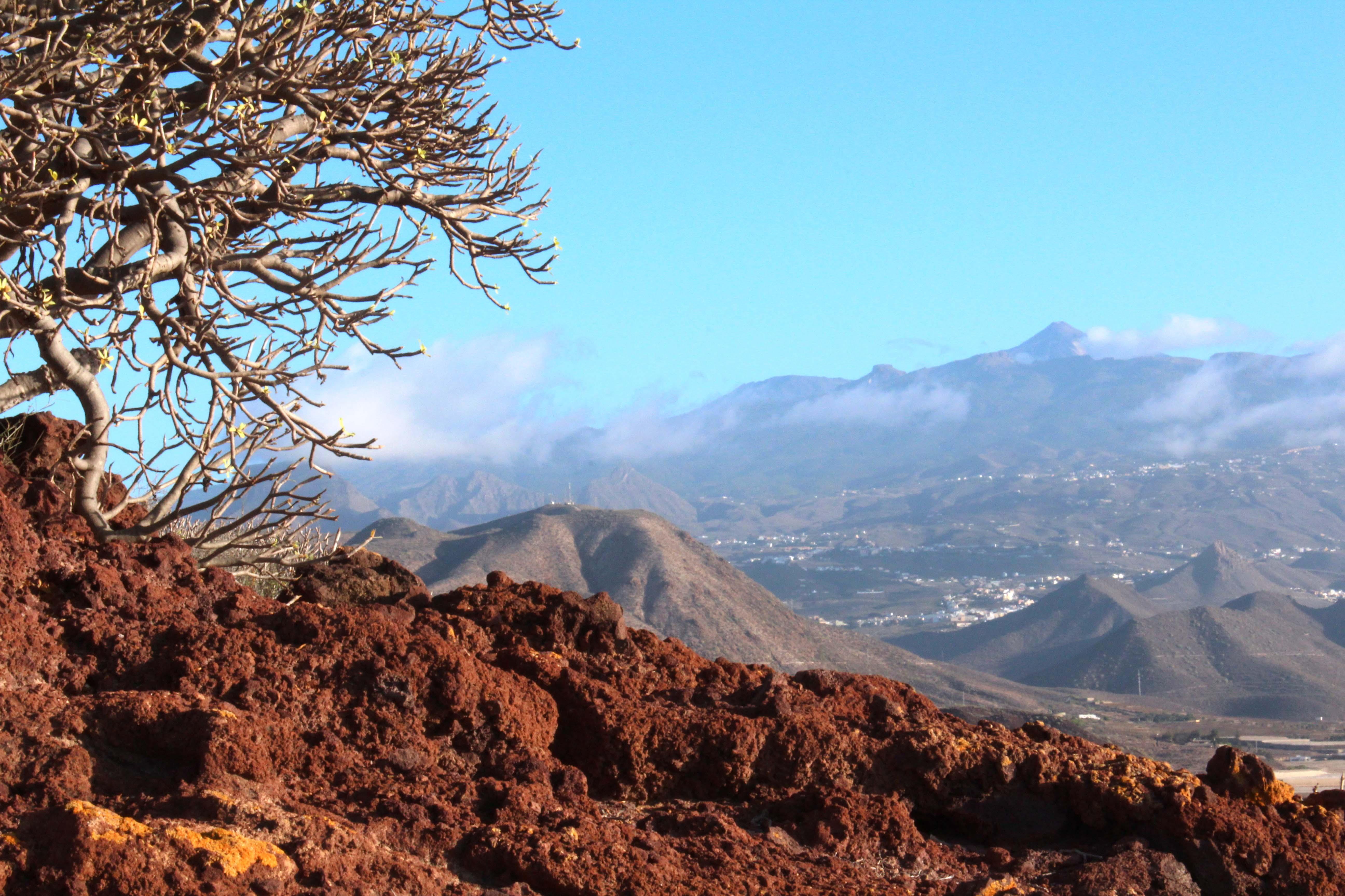 Playas en Costa Adeje: descubre el paraíso del sur de Tenerife