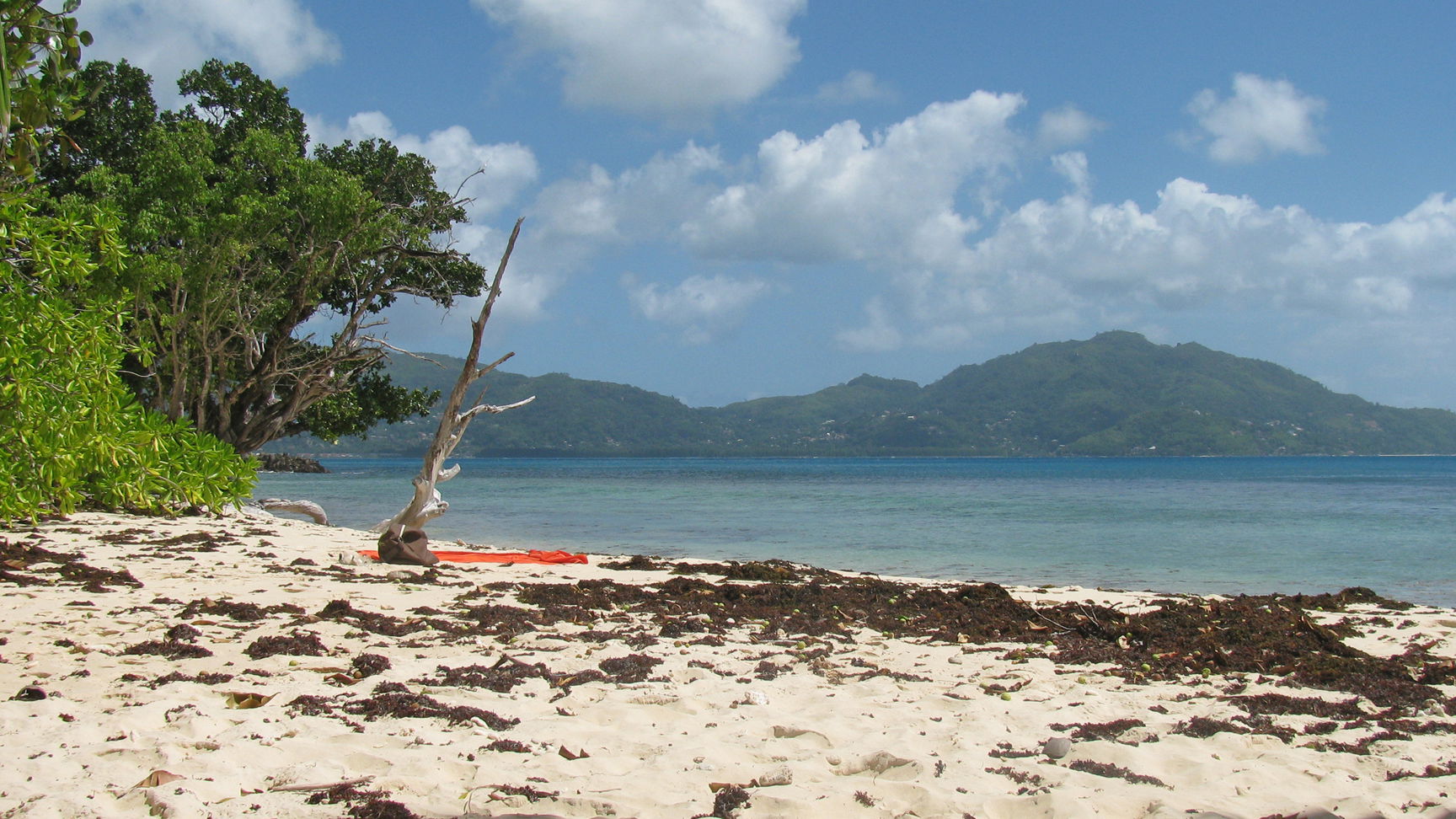 Parque Nacional Marino de Sainte Anne, por Claudia 