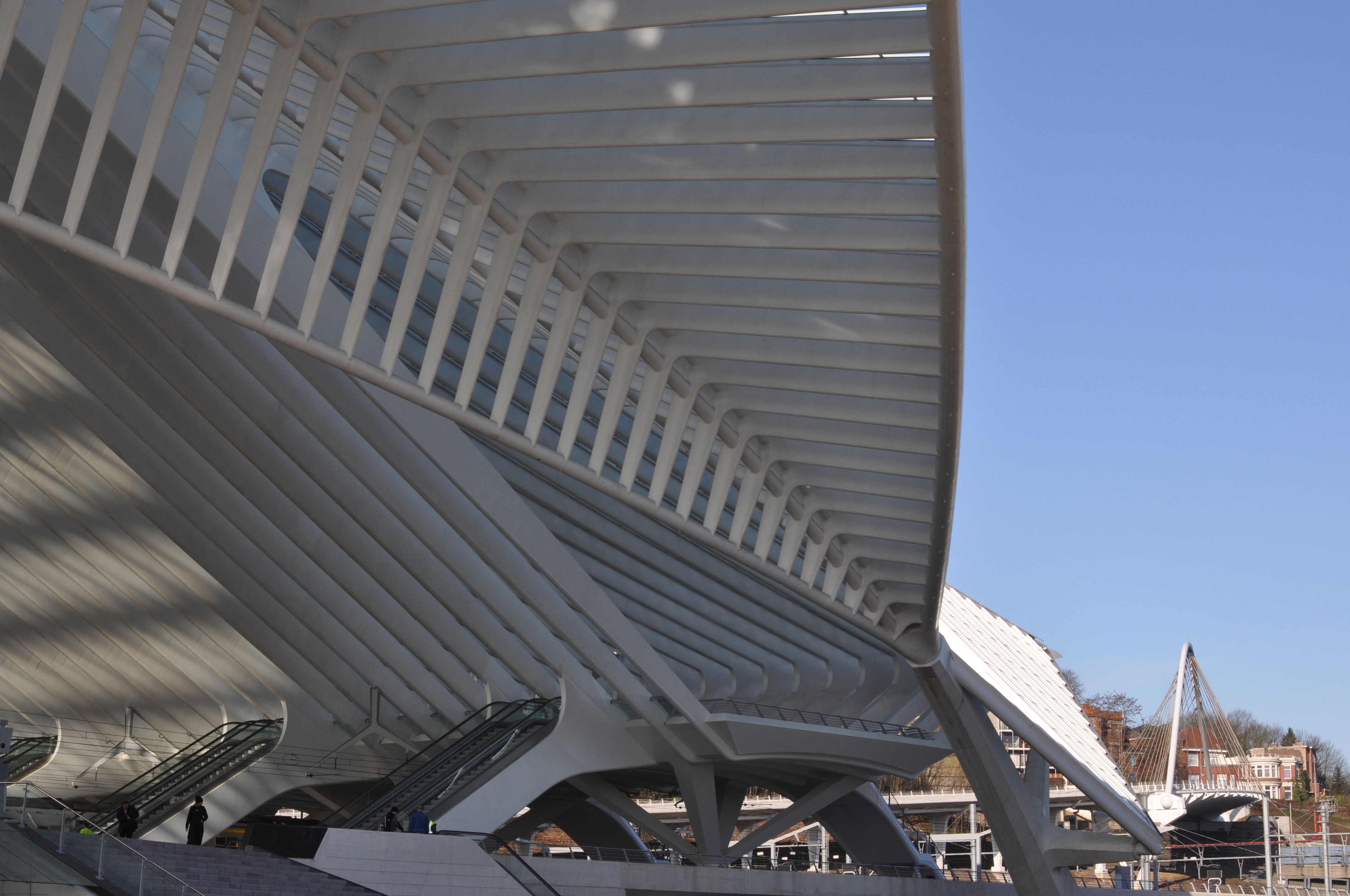 Estación de Lieja Guillemins, por Laisa 82