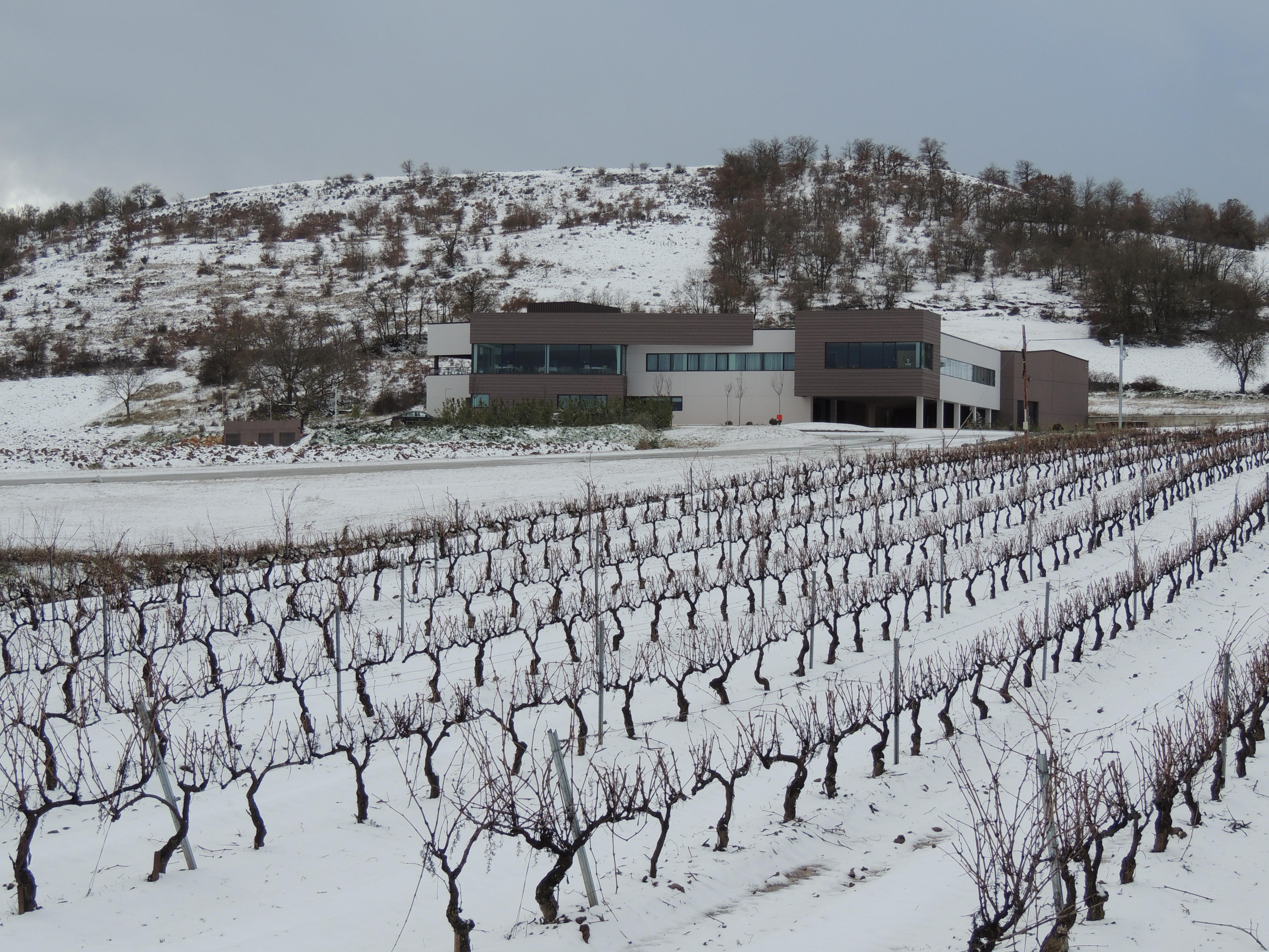 Bodegas Traslascuestas, por BODEGAS TRASLASCUESTAS