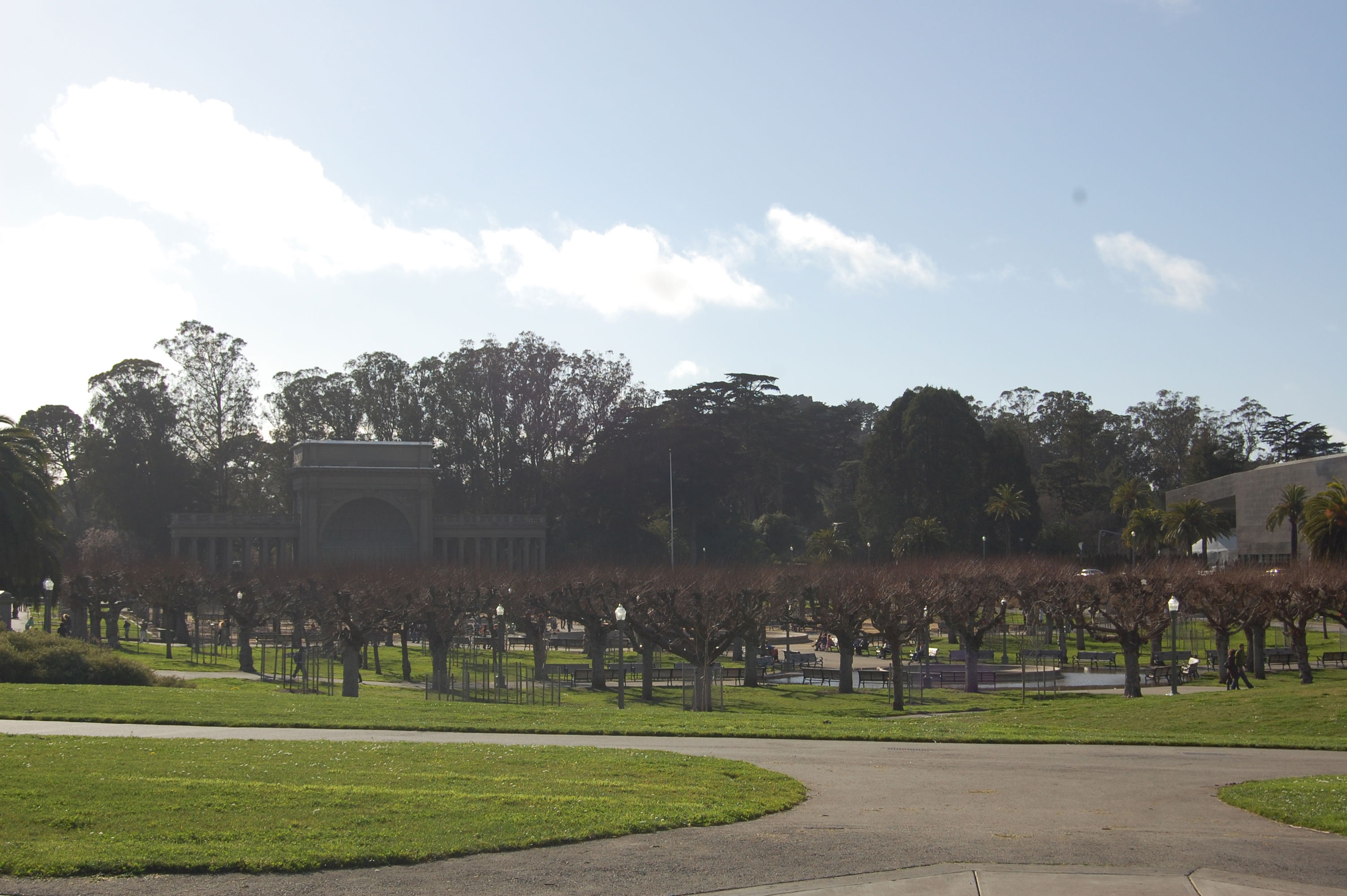 California Academy Of Sciences, por Joana Mendes Ribeiro