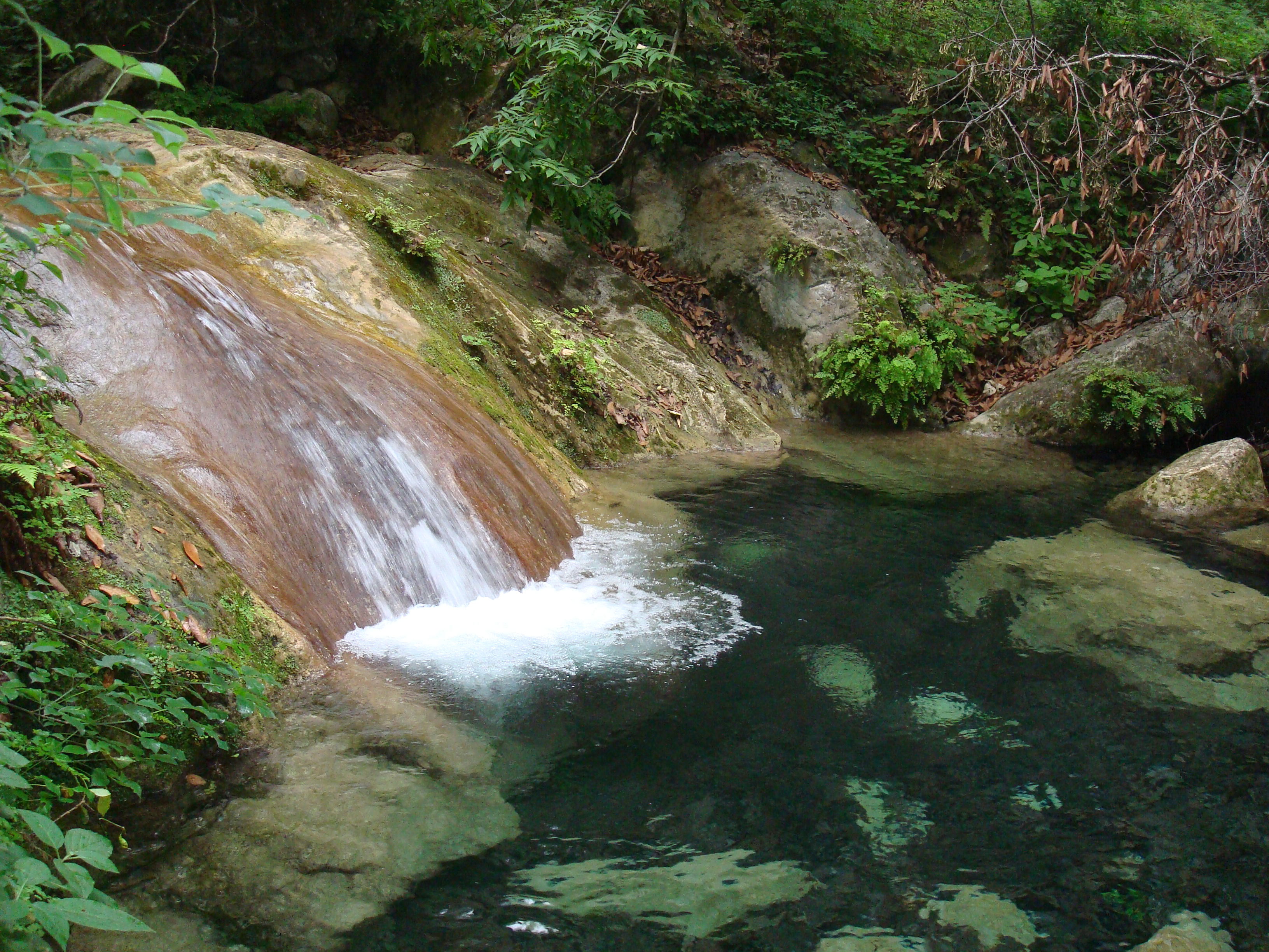 Parque La Estanzuela, por jessiedani