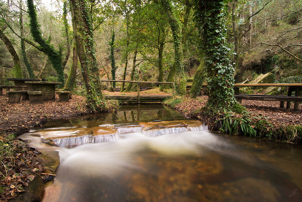 Refugio de Verdes, por Pablo Charlón
