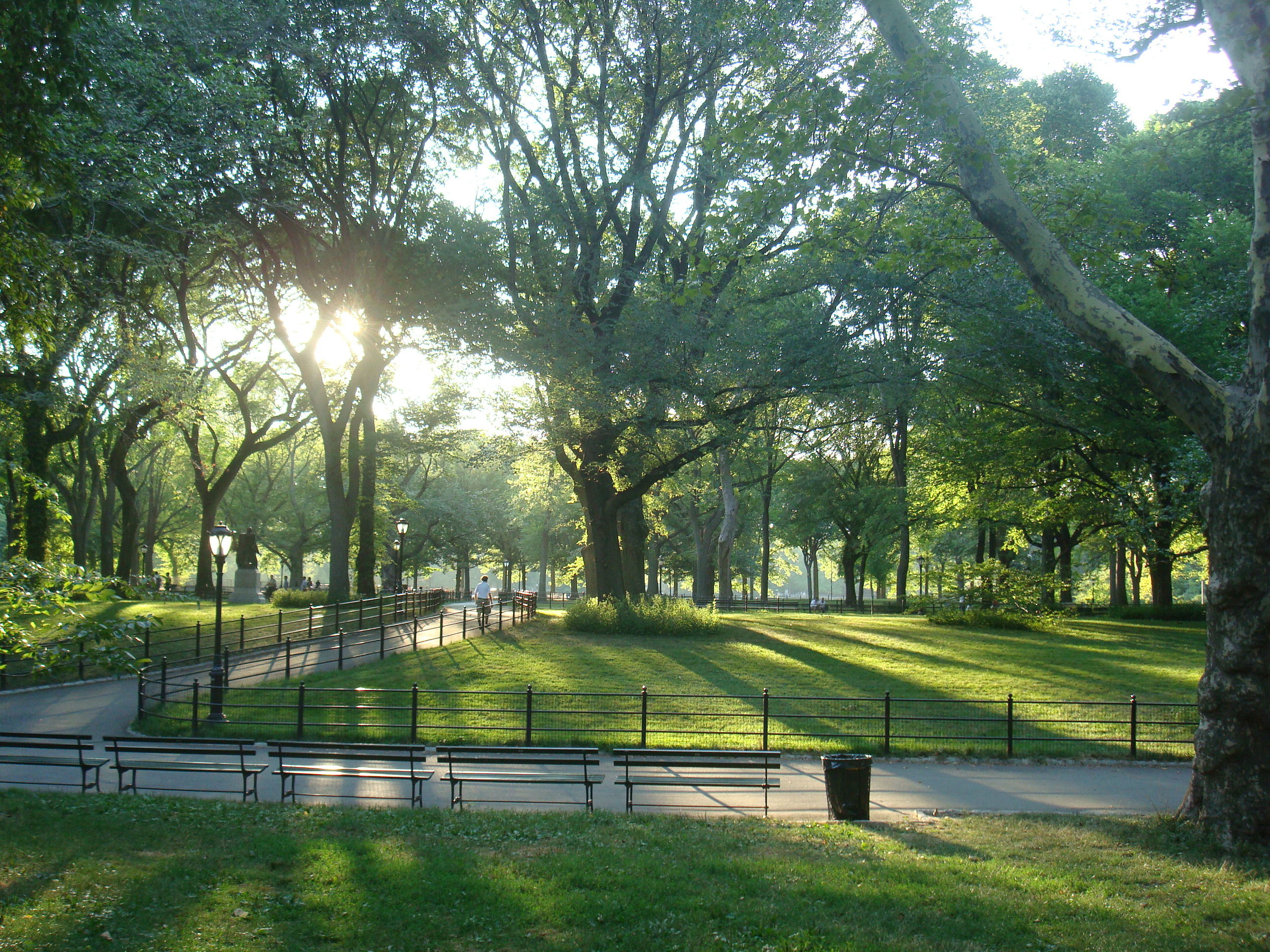 Velo central park online femme