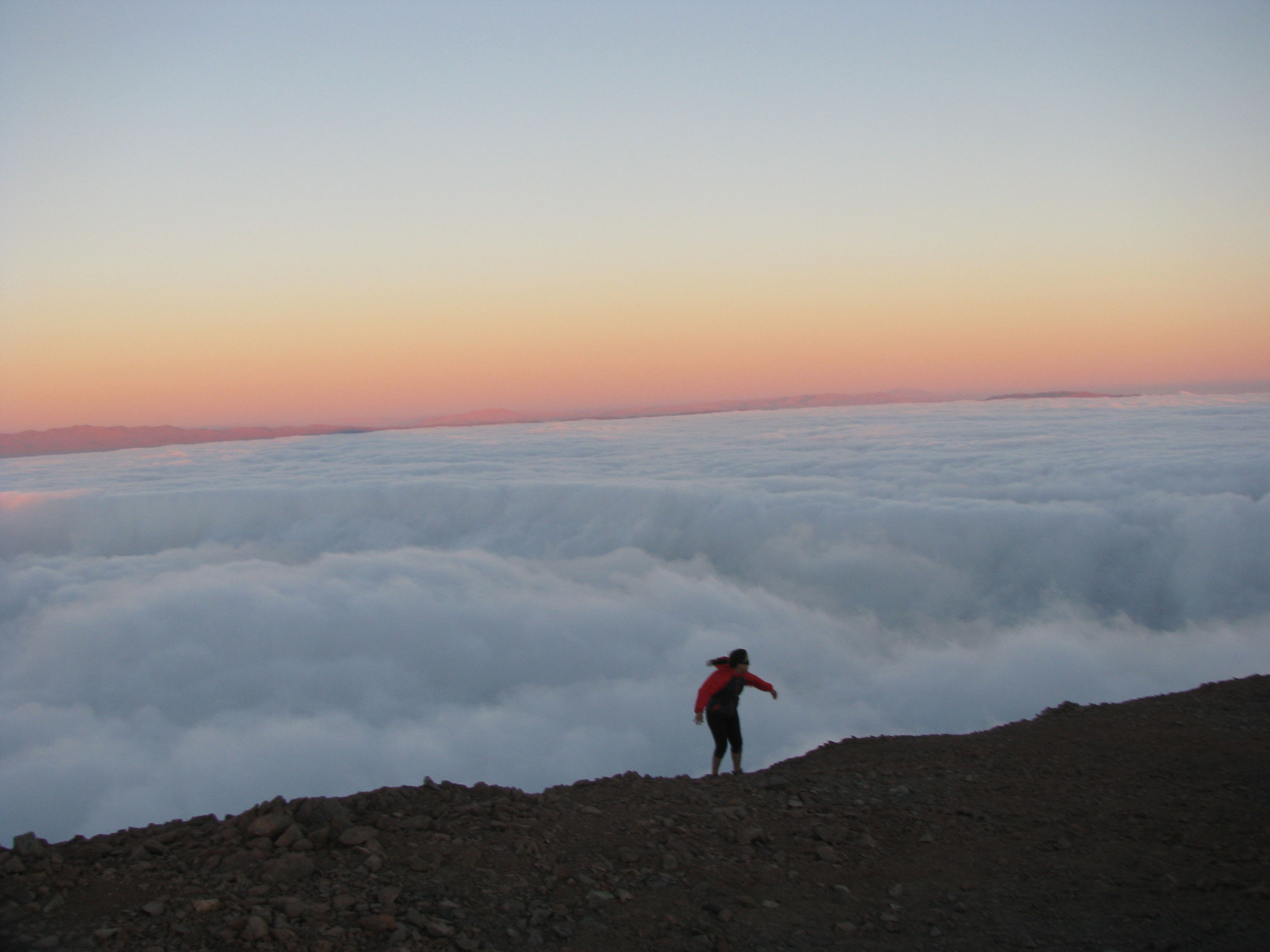 Cerro Moreno, por isabel saavedra torres